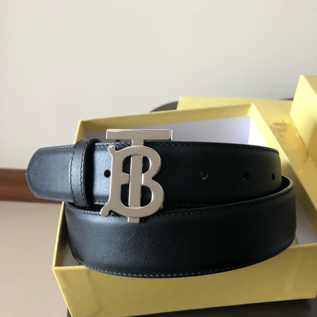 Bagsaaa Bv*b*rry Black Belt In Silver