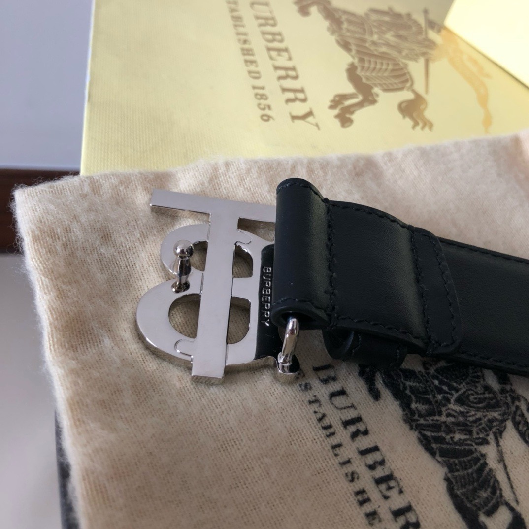 Bagsaaa Bv*b*rry Black Belt In Silver