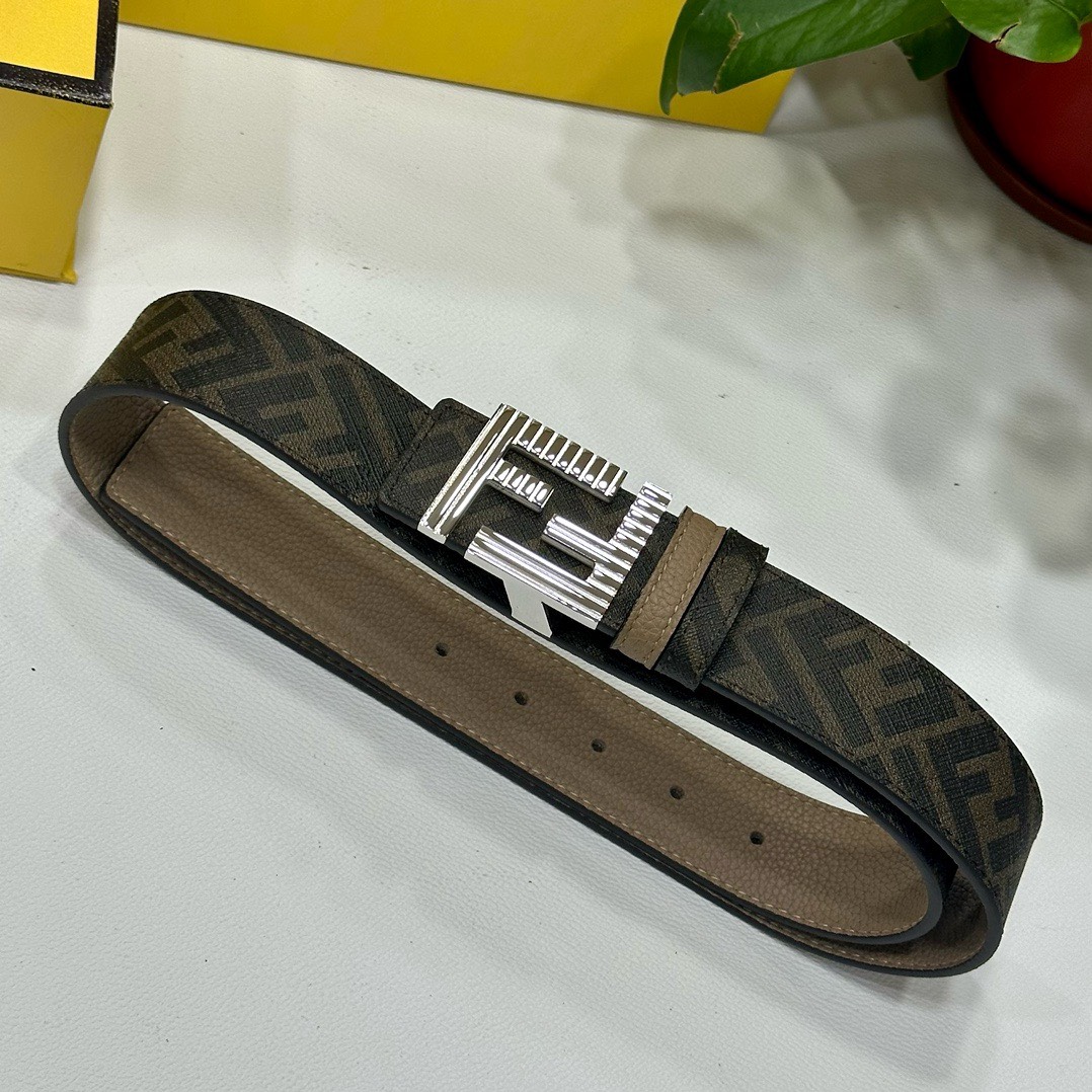 Bagsaaa F**di Belt In Silver Hardware