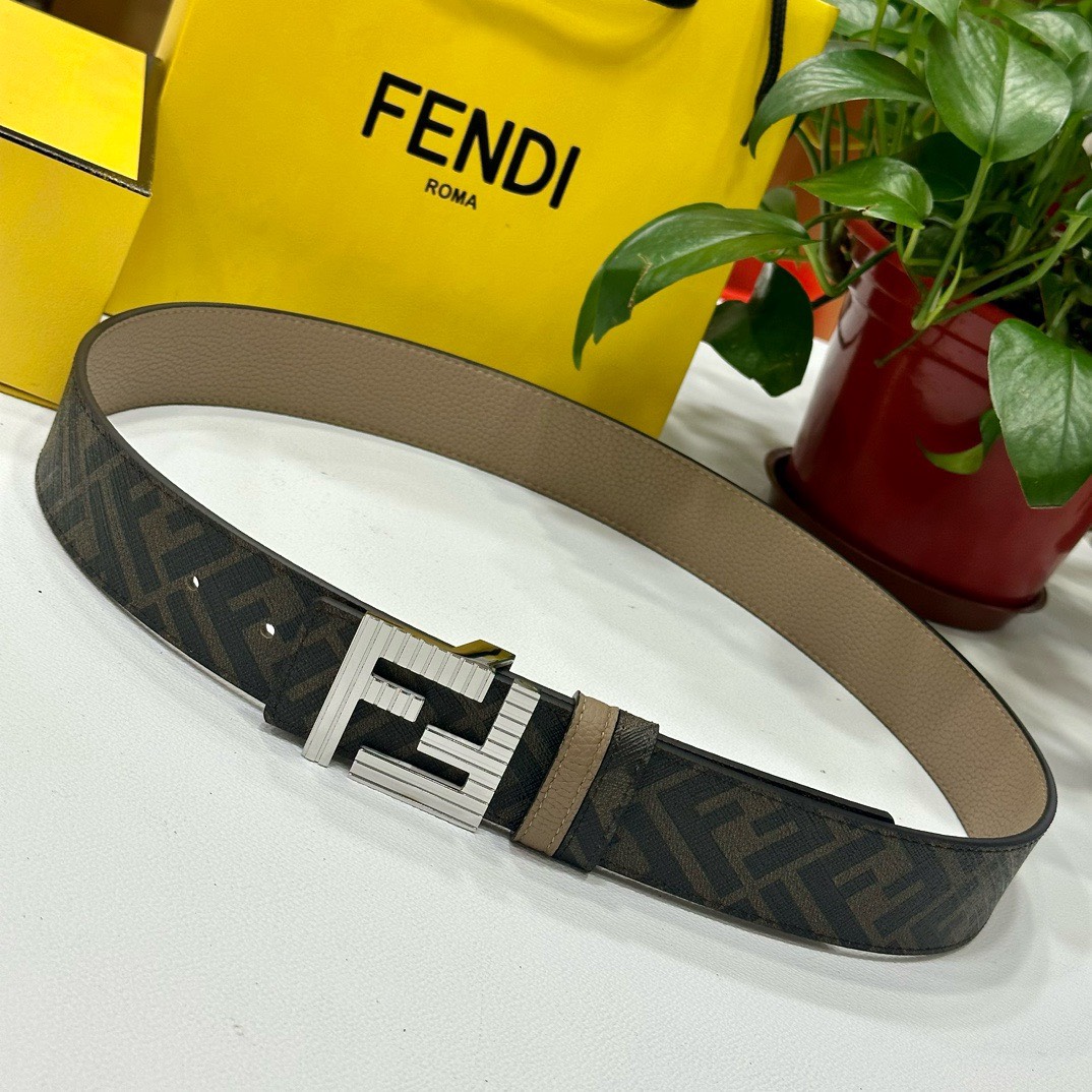Bagsaaa F**di Belt In Silver Hardware