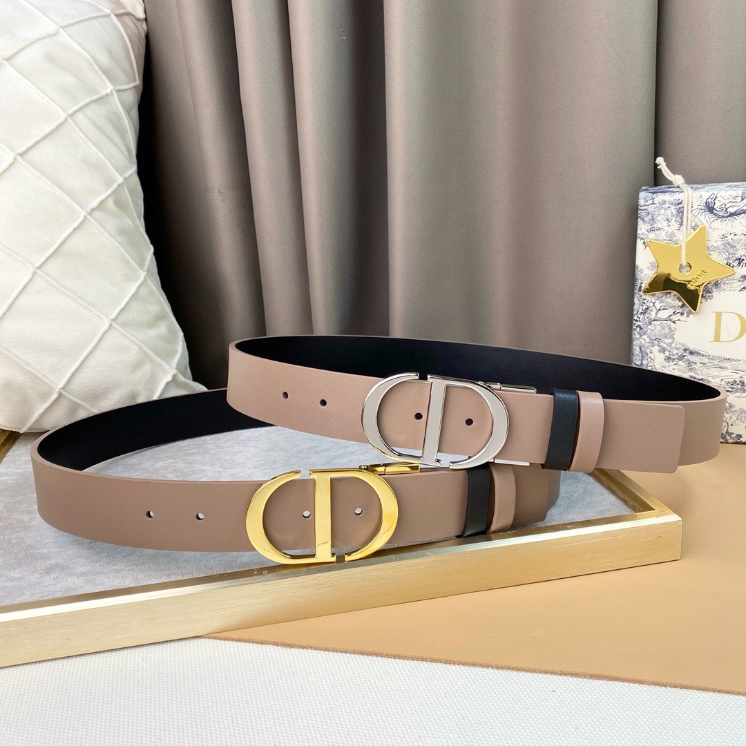 Bagsaaa D10r Belt In Nude Leather