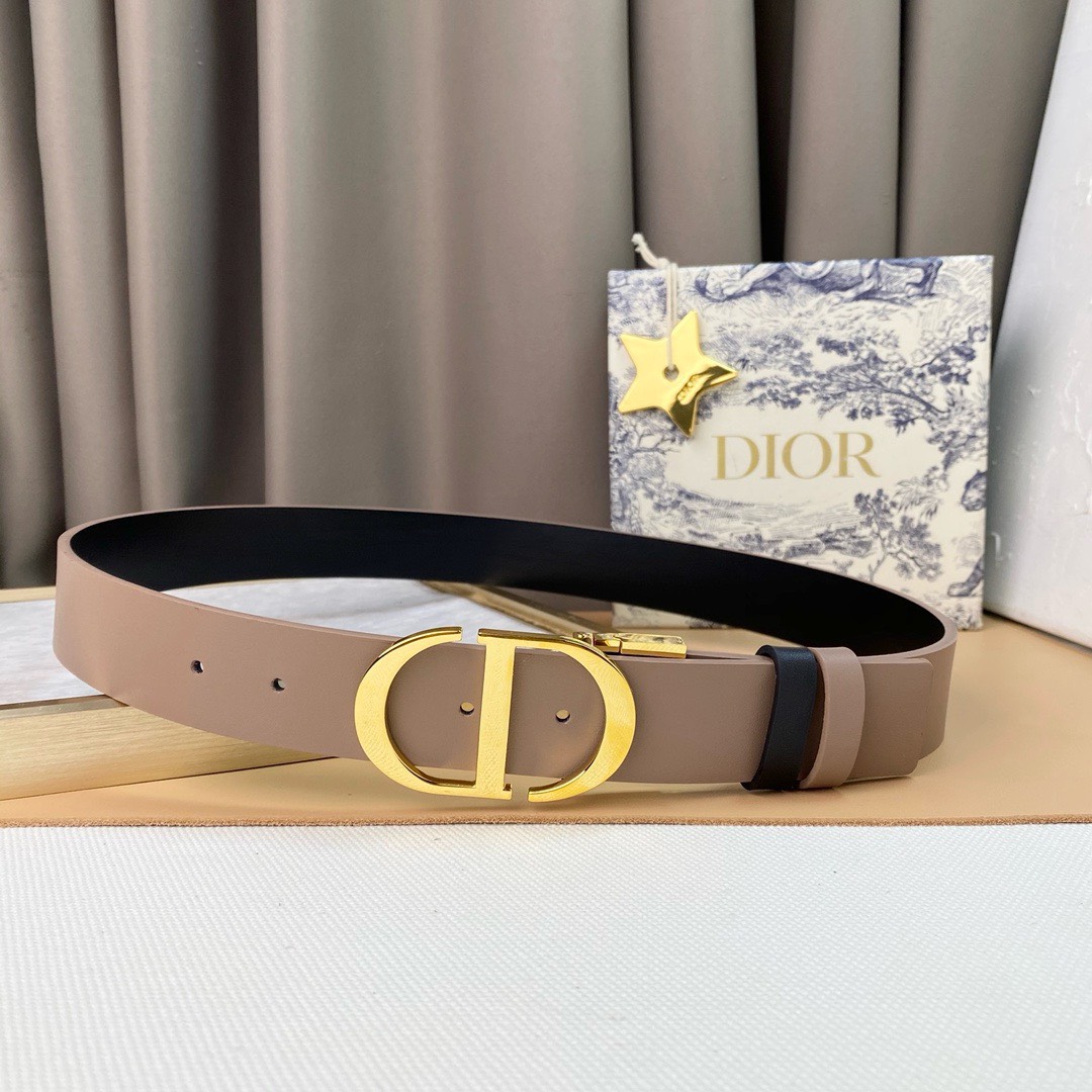 Bagsaaa D10r Belt In Nude Leather