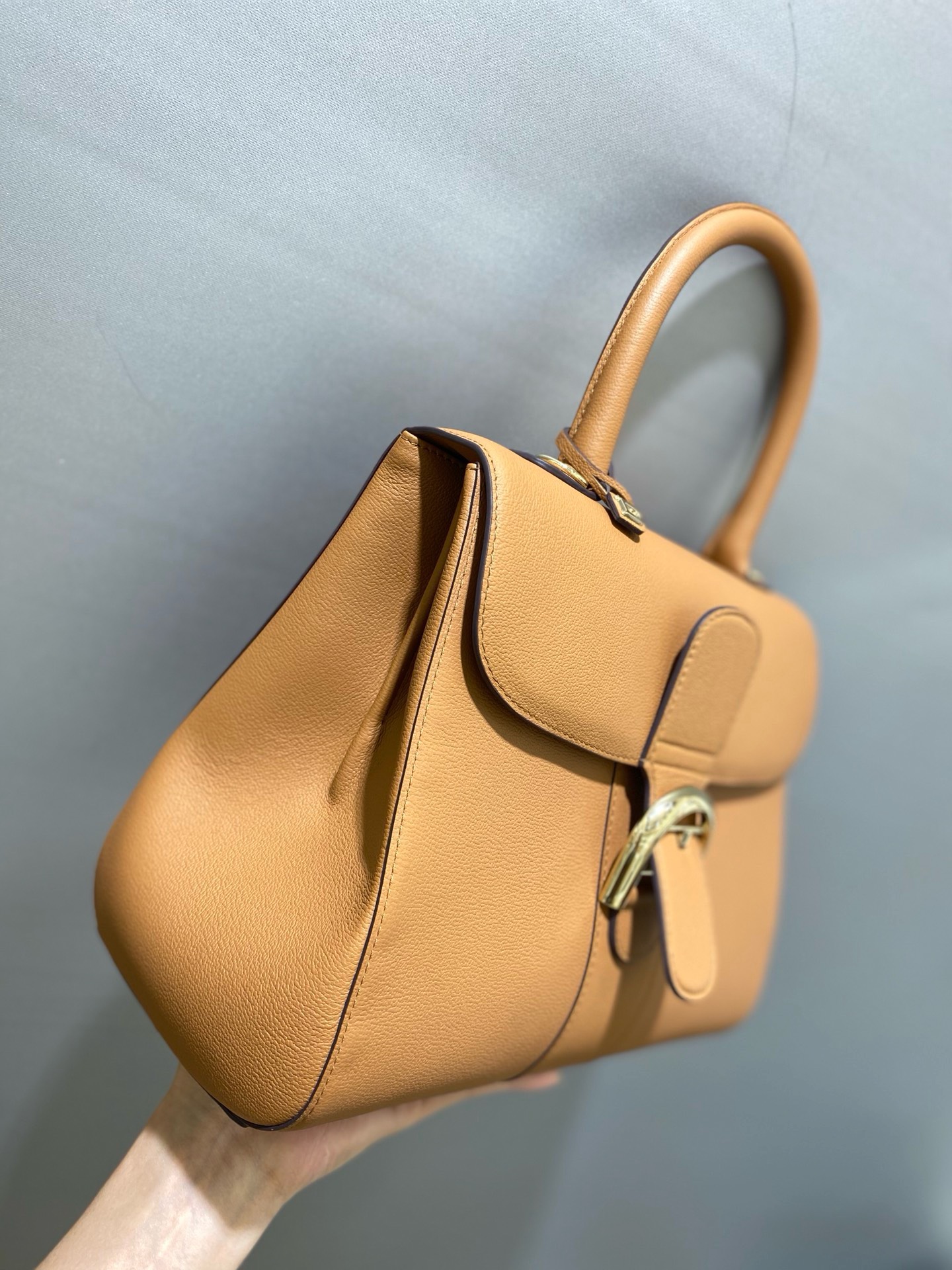 Bagsaaa Delvaux MM Brillant Satchel Brown