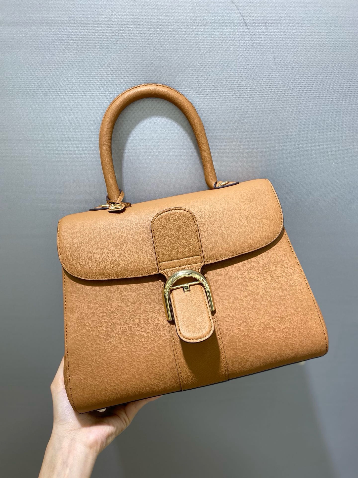 Bagsaaa Delvaux MM Brillant Satchel Brown