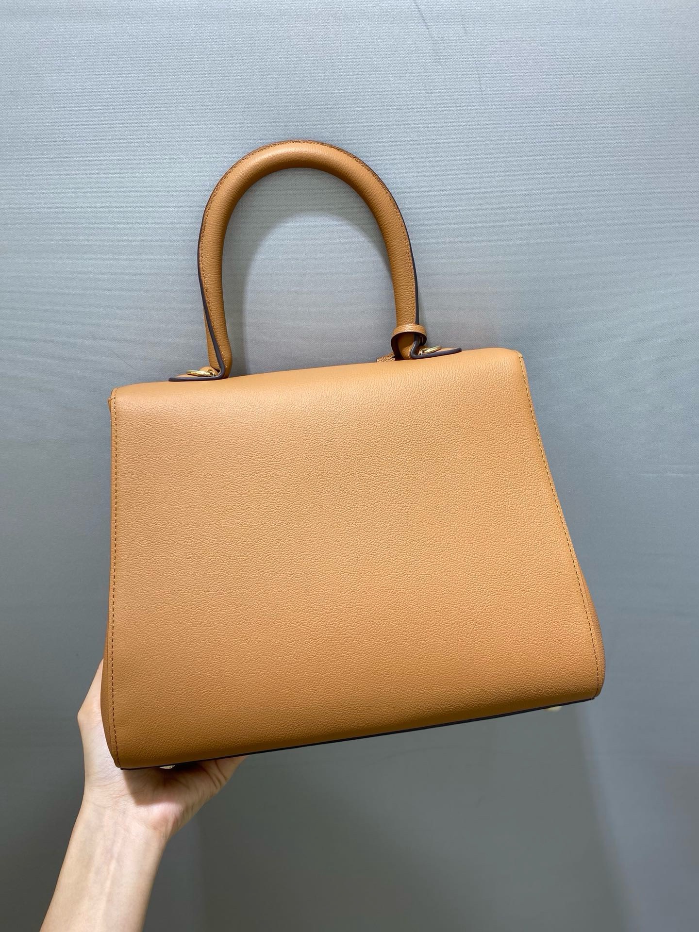 Bagsaaa Delvaux MM Brillant Satchel Brown
