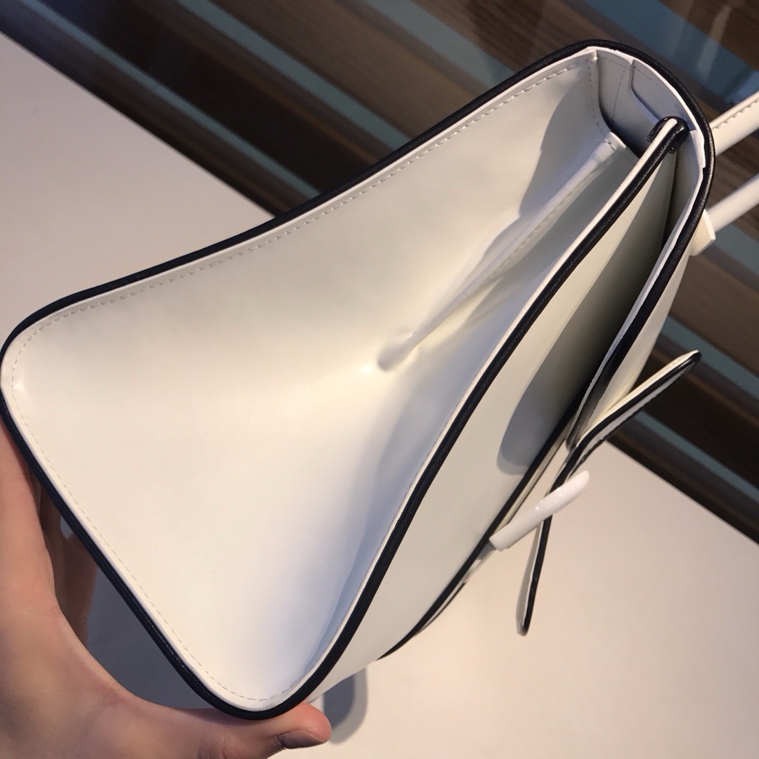 Bagsaaa Delvaux MM Brillant Satchel White