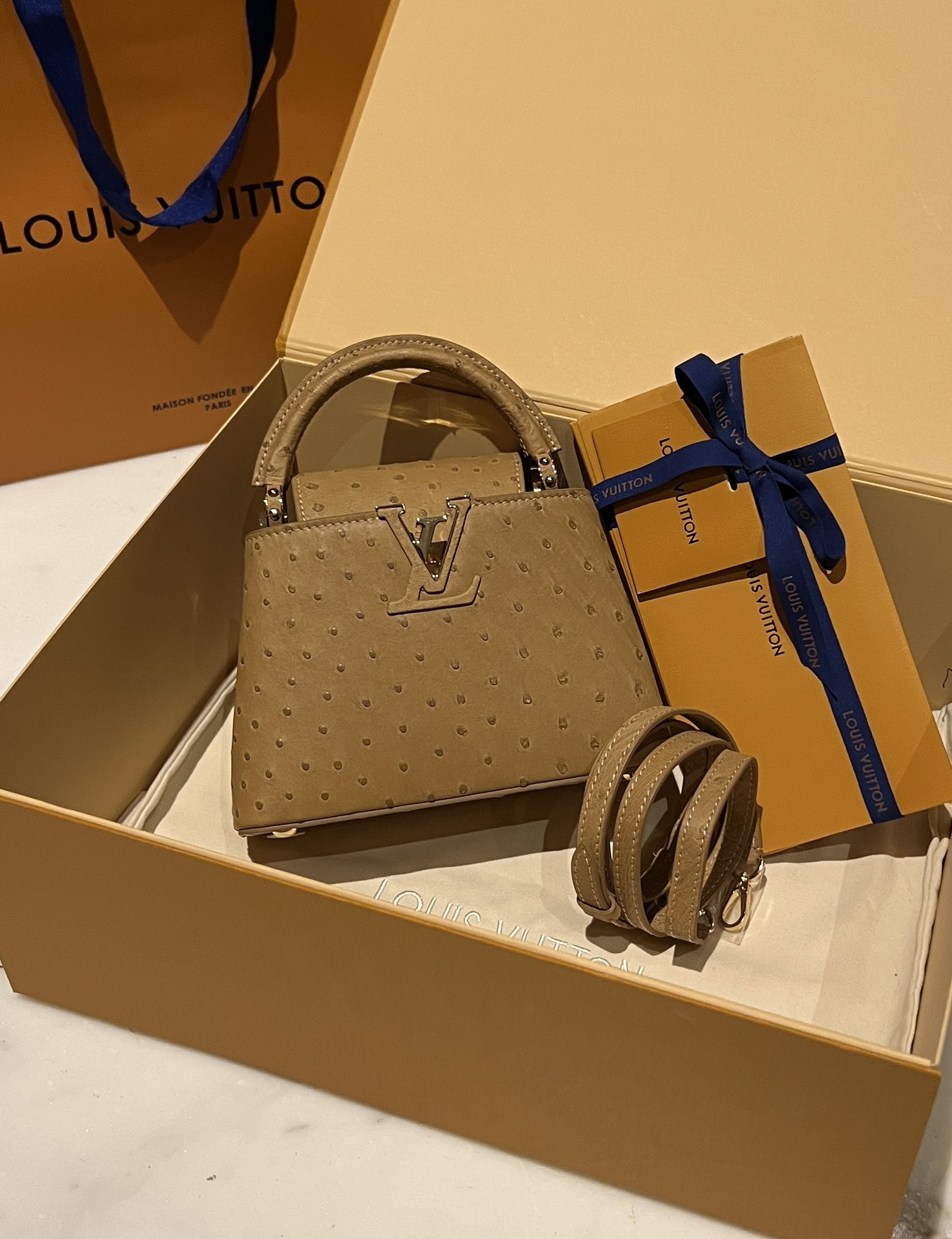 Bagsaaa L0vis Vvtt0n Capucines Ostrich Leather Brown