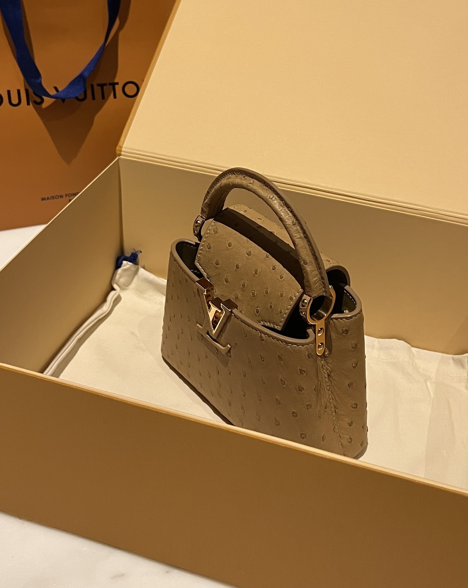 Bagsaaa L0vis Vvtt0n Capucines Ostrich Leather Brown