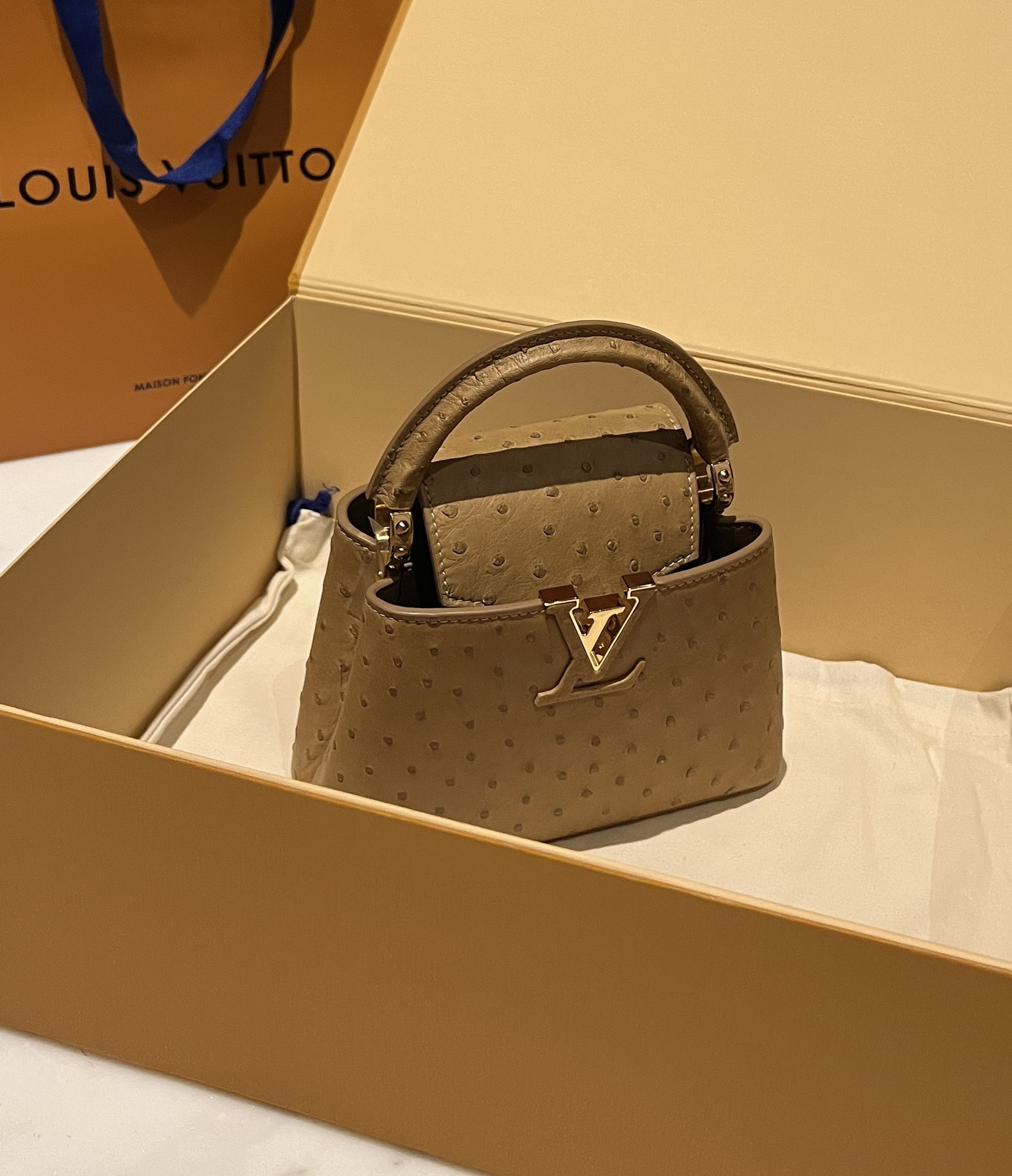 Bagsaaa L0vis Vvtt0n Capucines Ostrich Leather Brown
