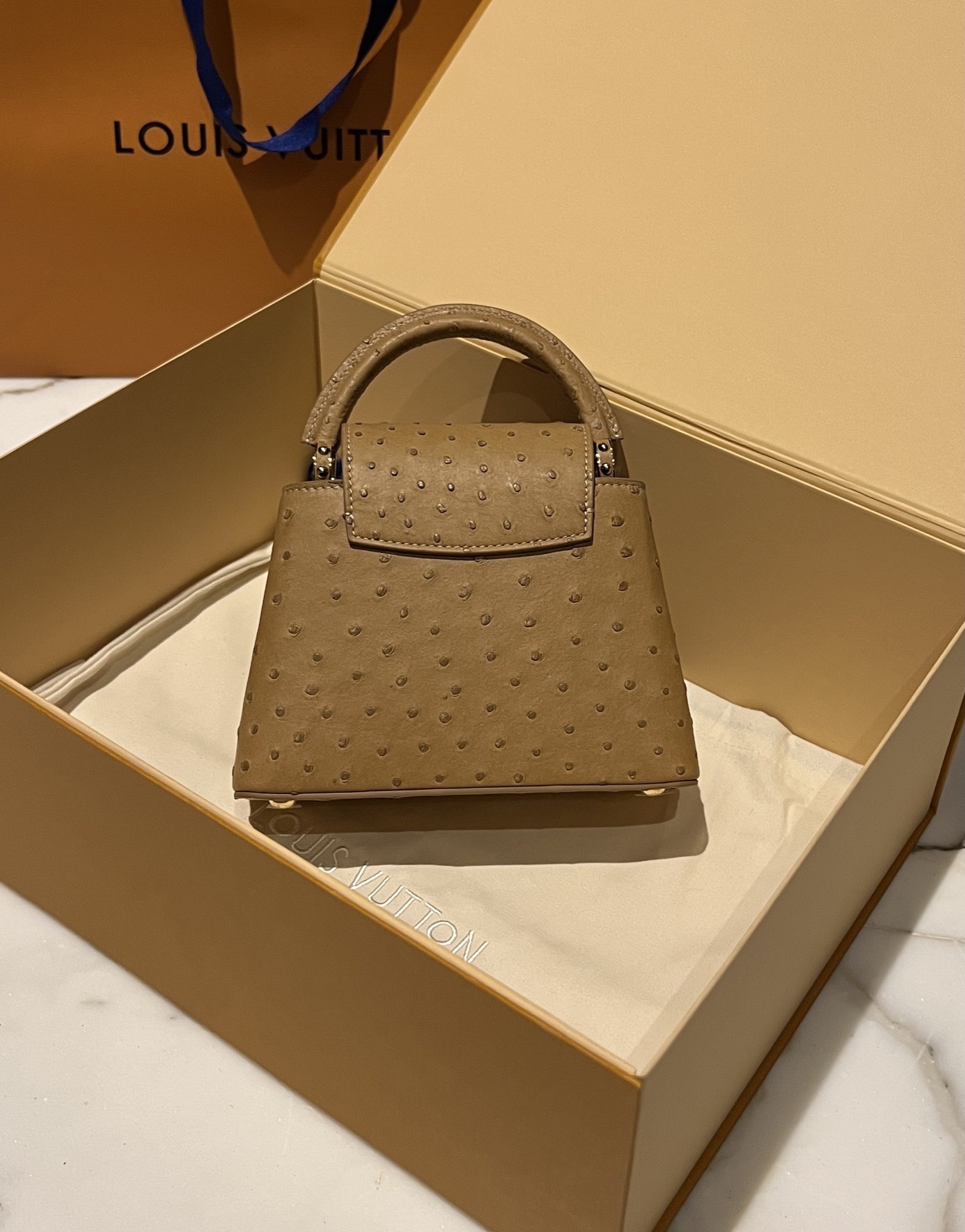 Bagsaaa L0vis Vvtt0n Capucines Ostrich Leather Brown