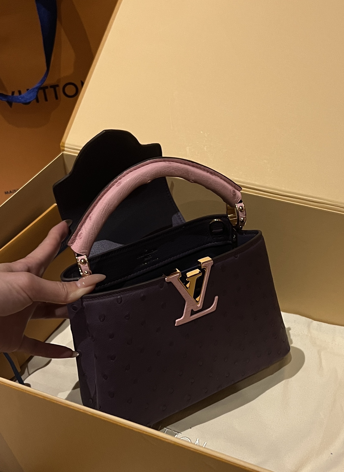 Bagsaaa L0vis Vvtt0n Capucines Ostrich Leather Purple & Pink