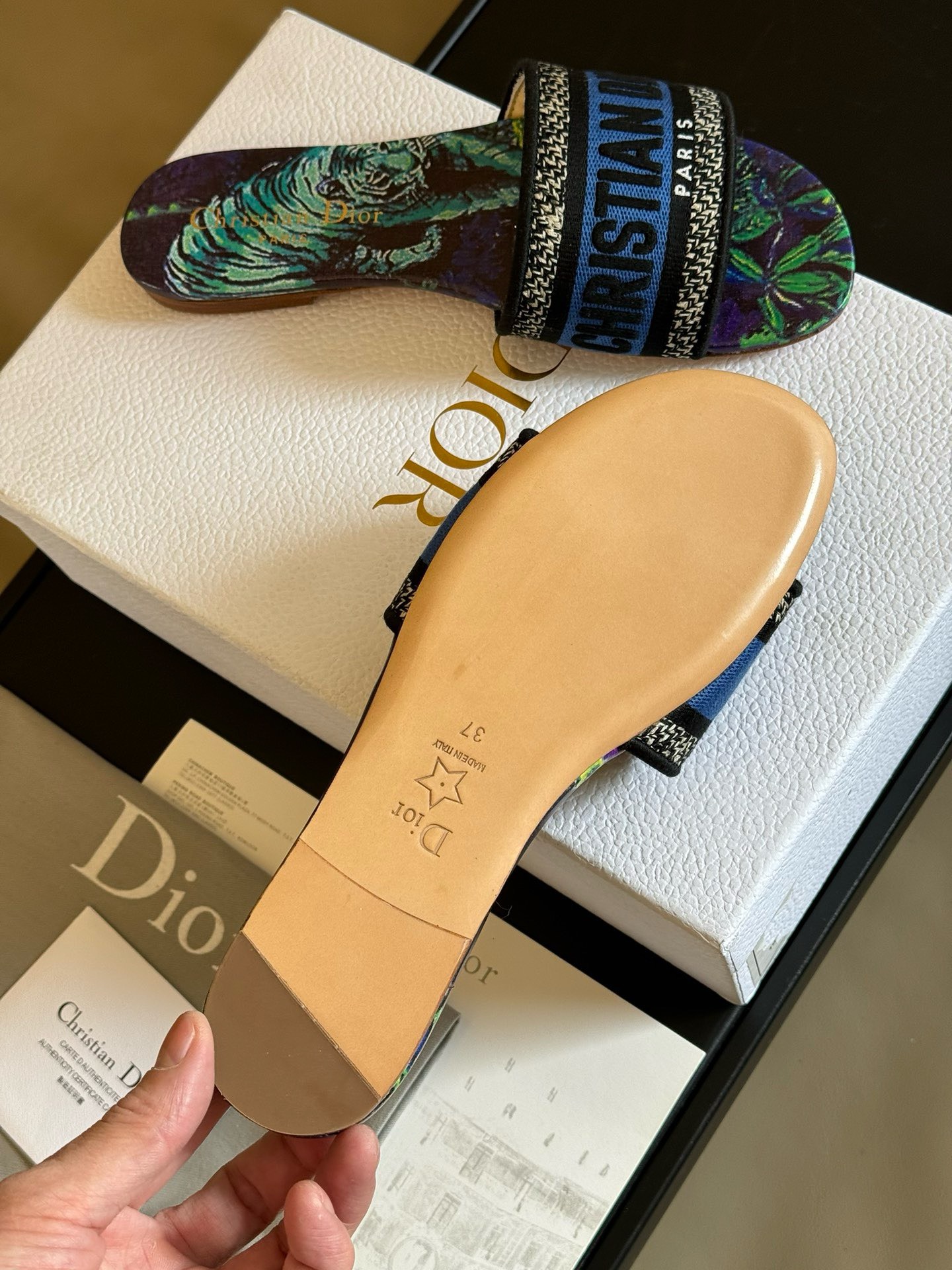 Bagsaaa D10r Dway Multicolor Slides