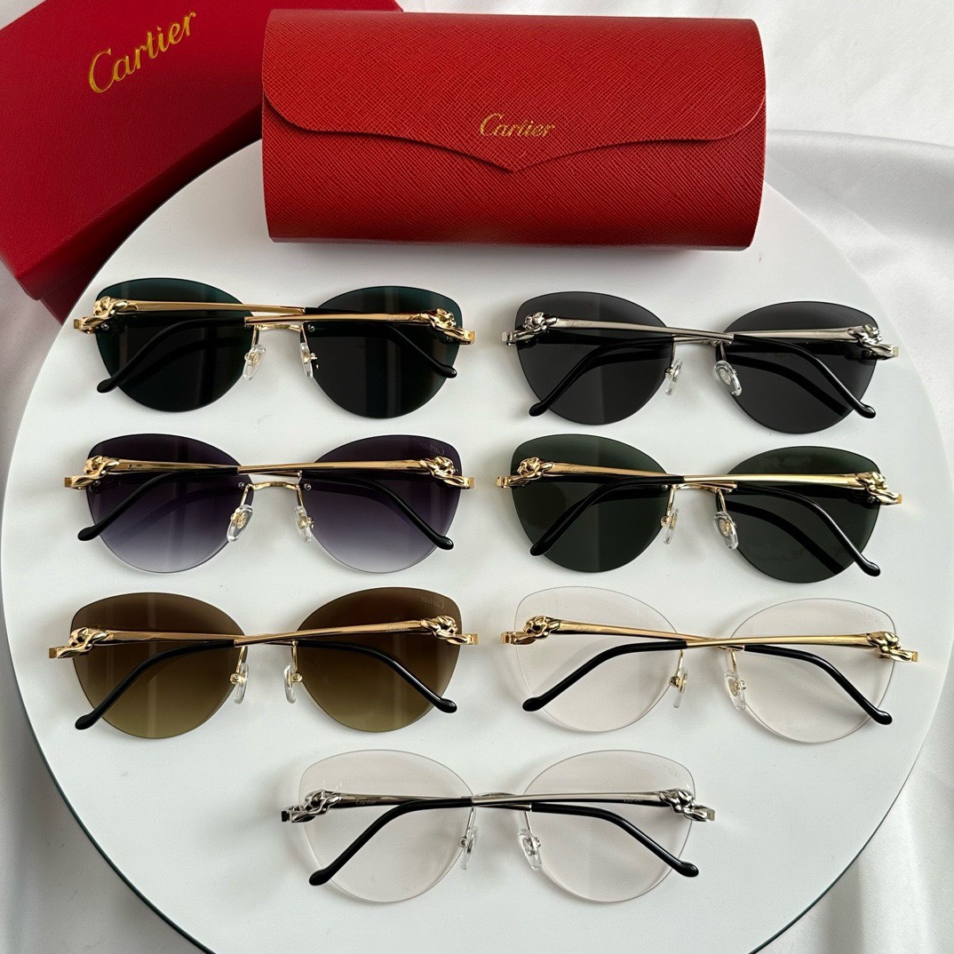 Bagsaaa Ca*t1er Sunglasses 02
