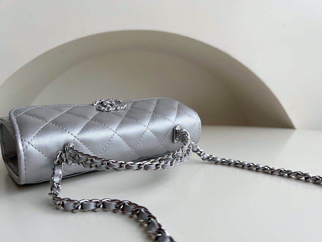 Bagsaaa Ch**el Top Handle Silver Caviar Bag - 18x10x4.5cm