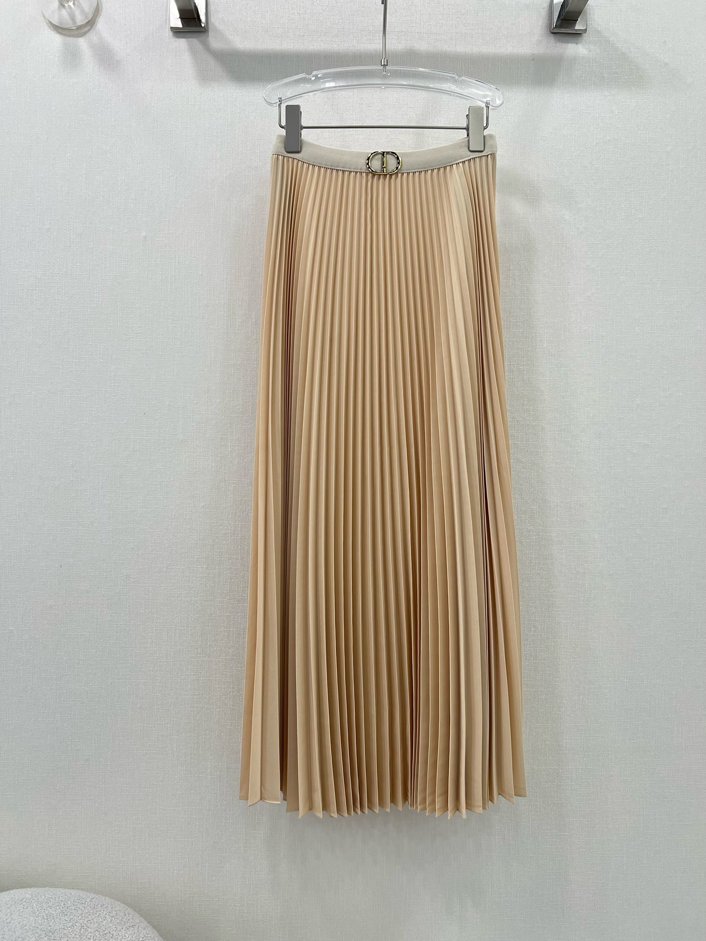 Bagsaaa D10r long pleat skirt