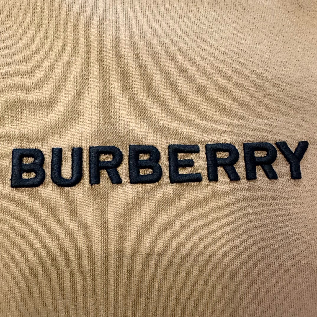Bagsaaa Bv*b*rry Brown T-Shirt