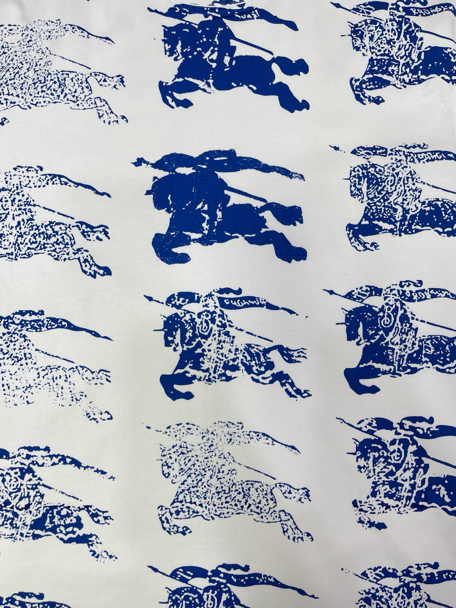 Bagsaaa Bv*b*rry "Ekd Printed T Shirt