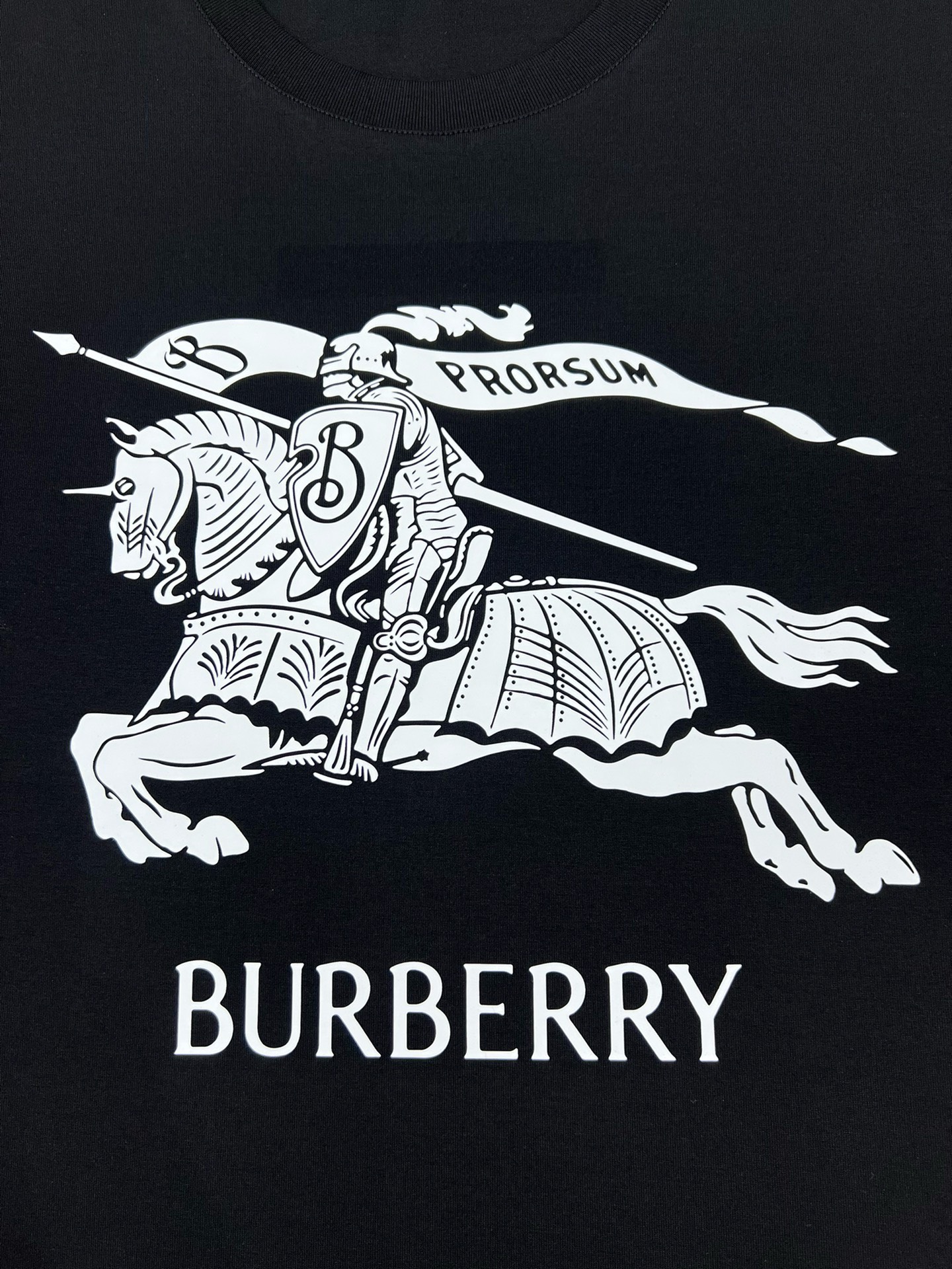 Bagsaaa Bv*b*rry logo short t-shirt