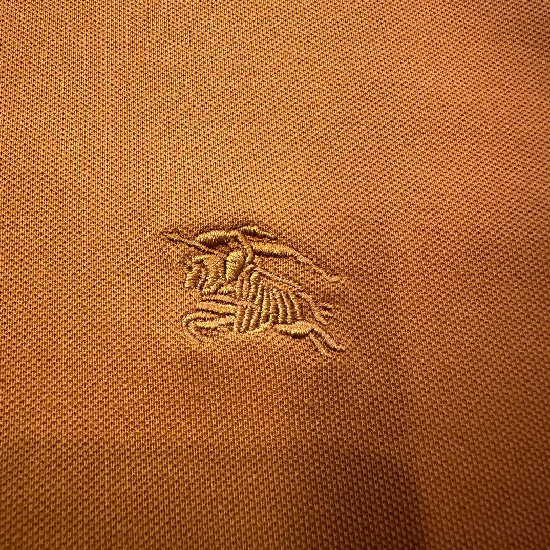 BAGSAAA Bv*b*rry LONDON ENGLAND POLO CODY SHIRT BROWN