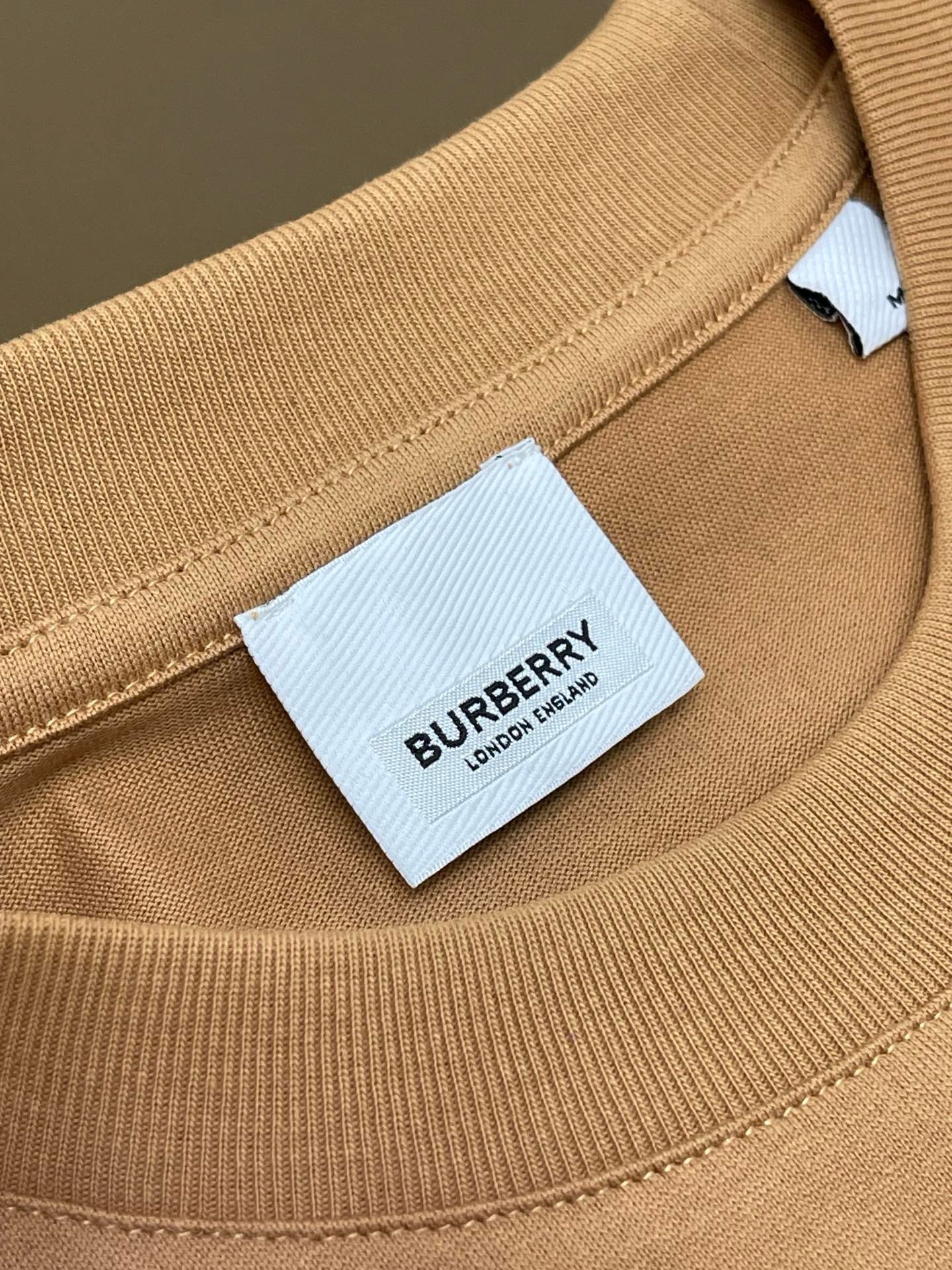 Bagsaaa Bv*b*rry Brown T-Shirt 02
