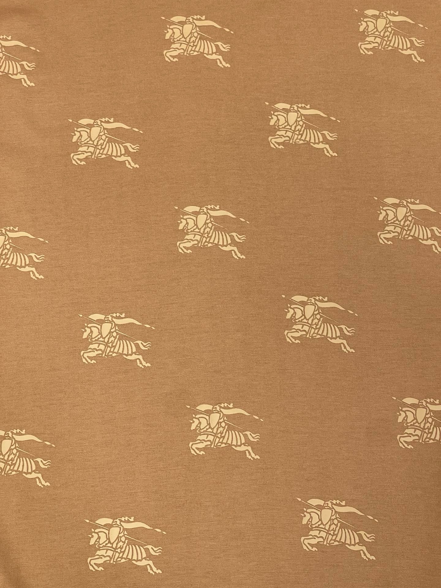 Bagsaaa Bv*b*rry Brown T-Shirt 02