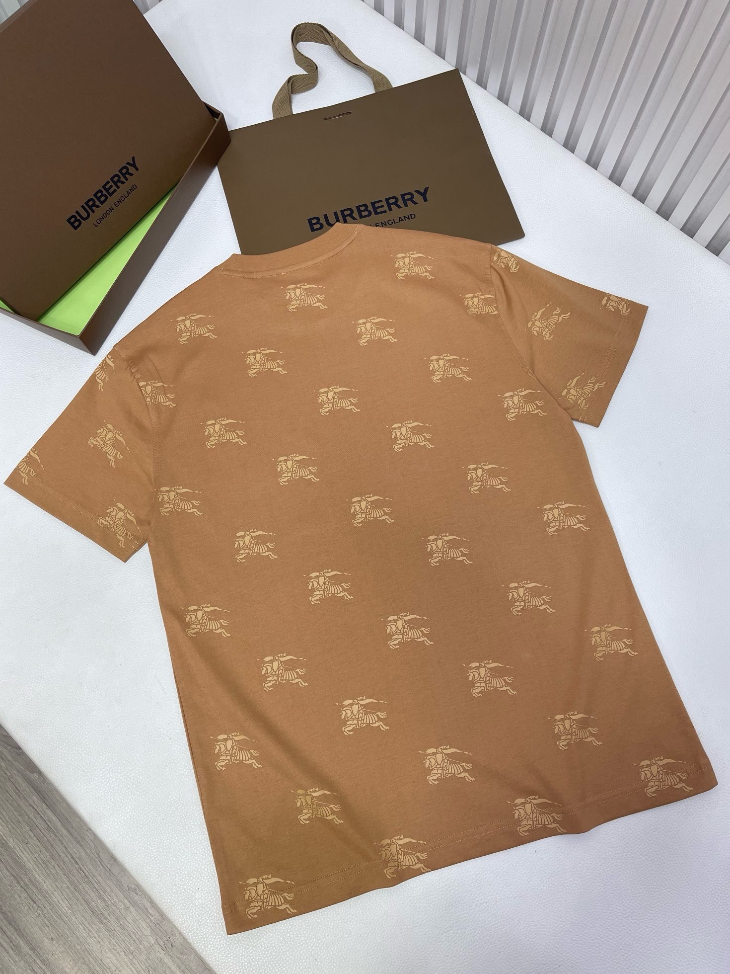 Bagsaaa Bv*b*rry Brown T-Shirt 02