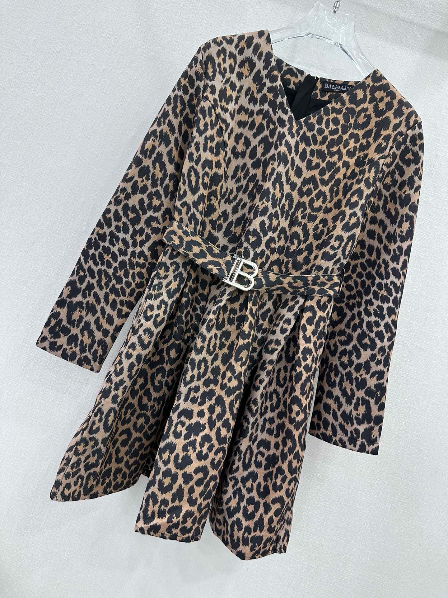 Bagsaaa Balmain Dress