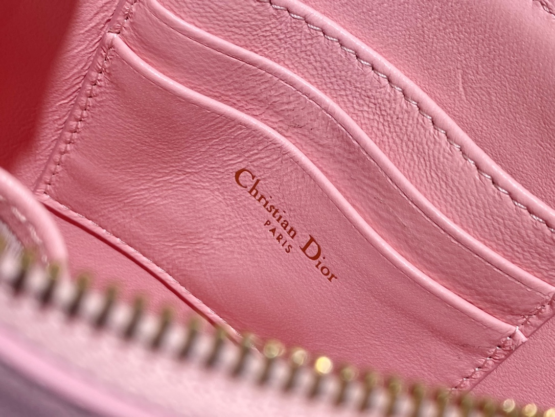 Bagsaaa D10r Saddle Rodeo Pouch Pink Goatskin - 20 x 15 x 4 cm