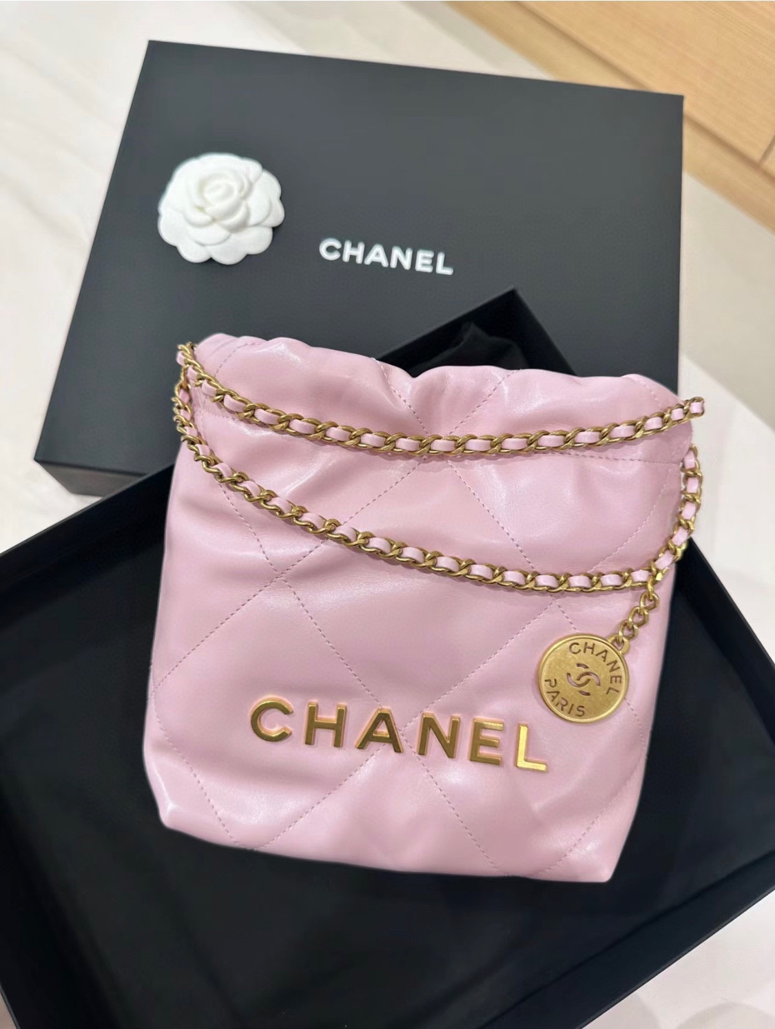Bagsaaa Ch**el 22 Mini Handbag Shiny Calfskin Light Pink AS3980 - 20 × 19 × 6 cm