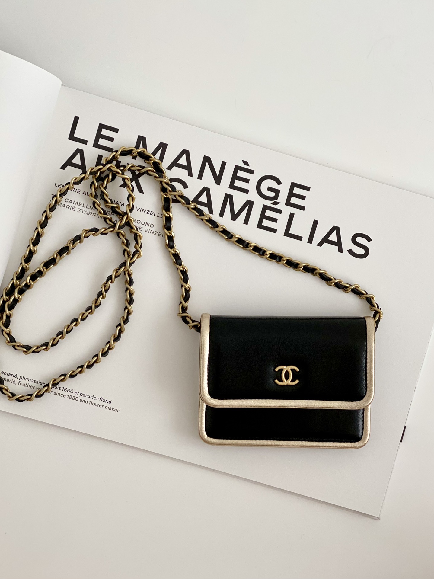 Bagsaaa Ch**el Clutch With Chain AP2767 - 12*8.5*3cm
