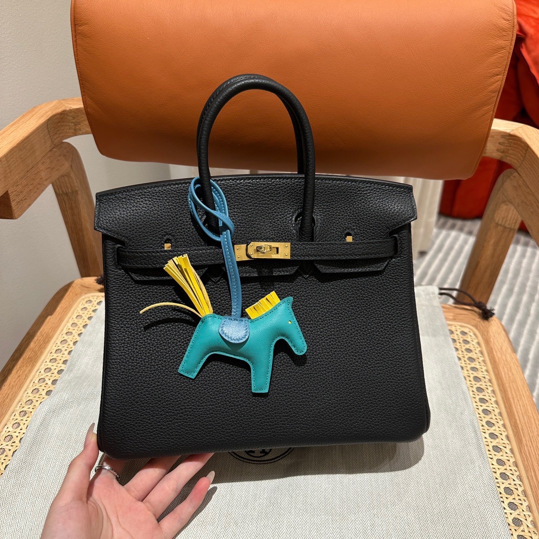 Bagsaaa H**me5 Birkin Black Togo & Gold Hardware - 25cm
