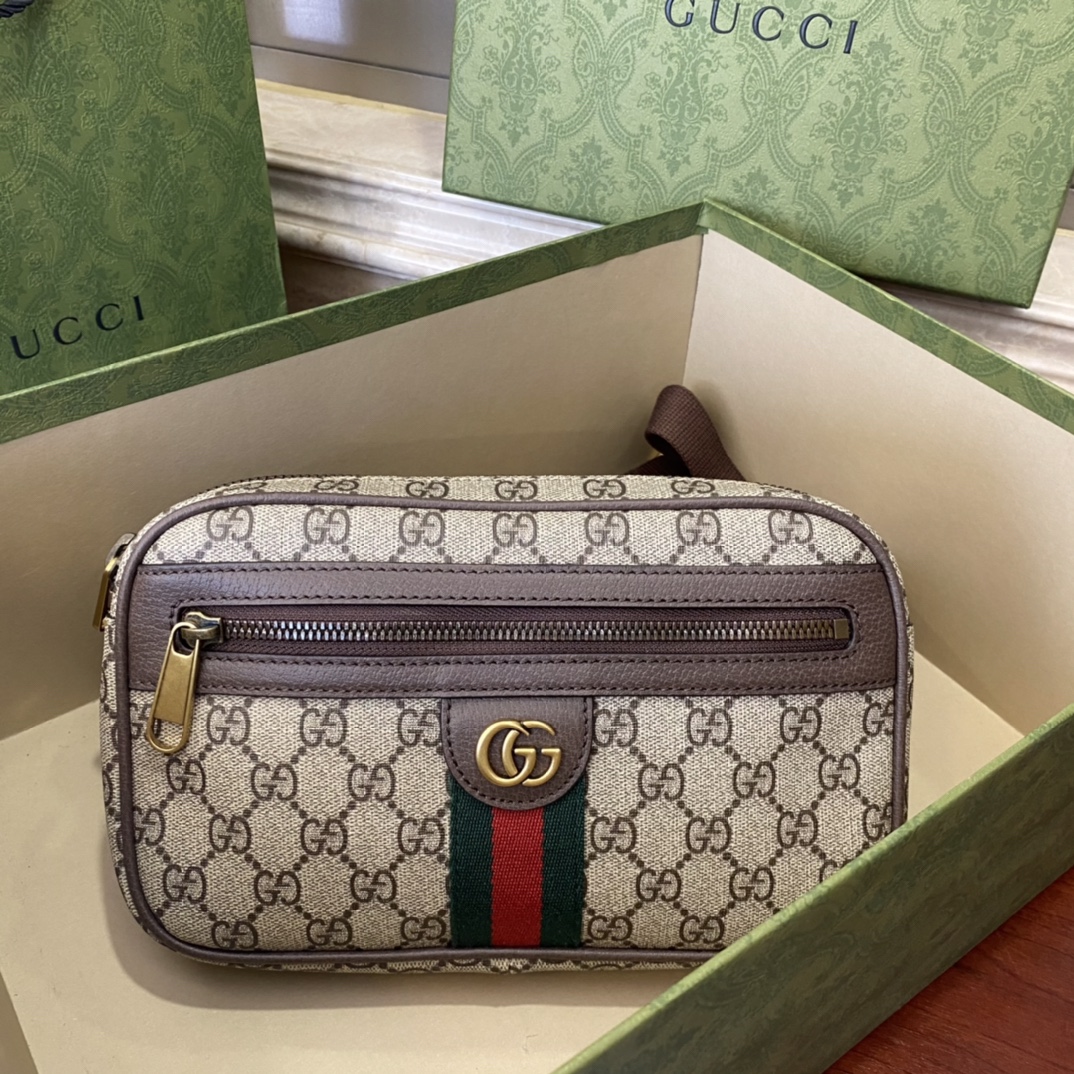 Bagsaaa Gvc*1 Ophidia GG Belt Bag 574796 - 24x14x5.5cm