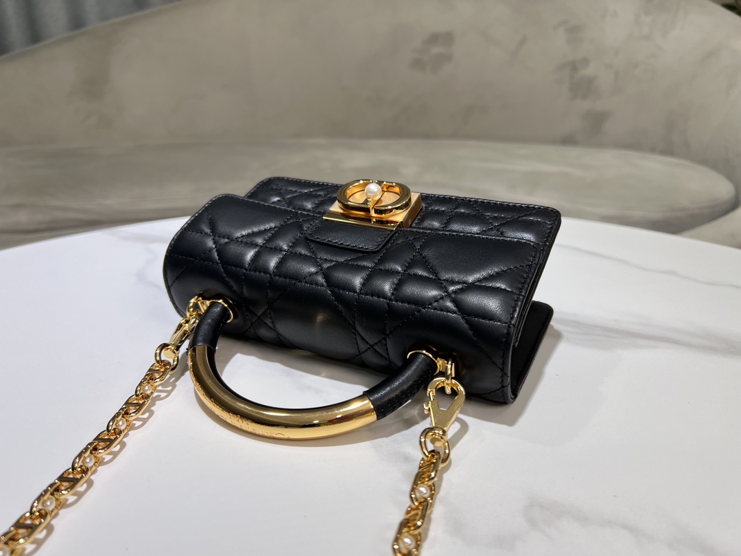 Bagsaaa Mini D10r Ange Bag Black Macrocannage Calfskin - 20 x 12 x 5 cm