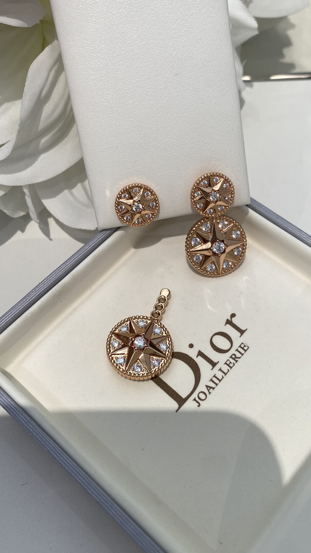 Bagsaaa D10r Rose des Vents Earrings Pink Gold and D1am0nds