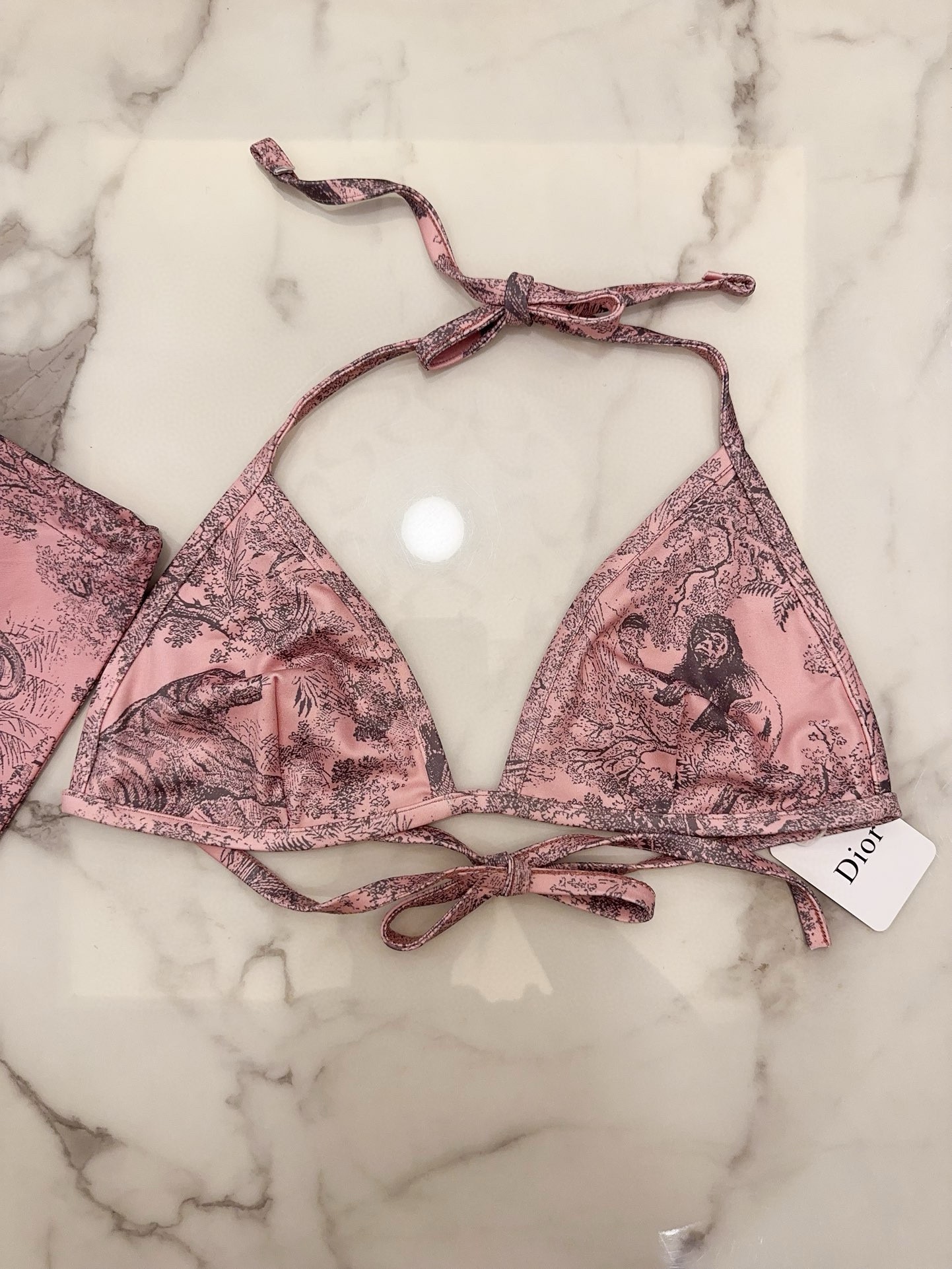 Bagsaaa D10r Bikini 04