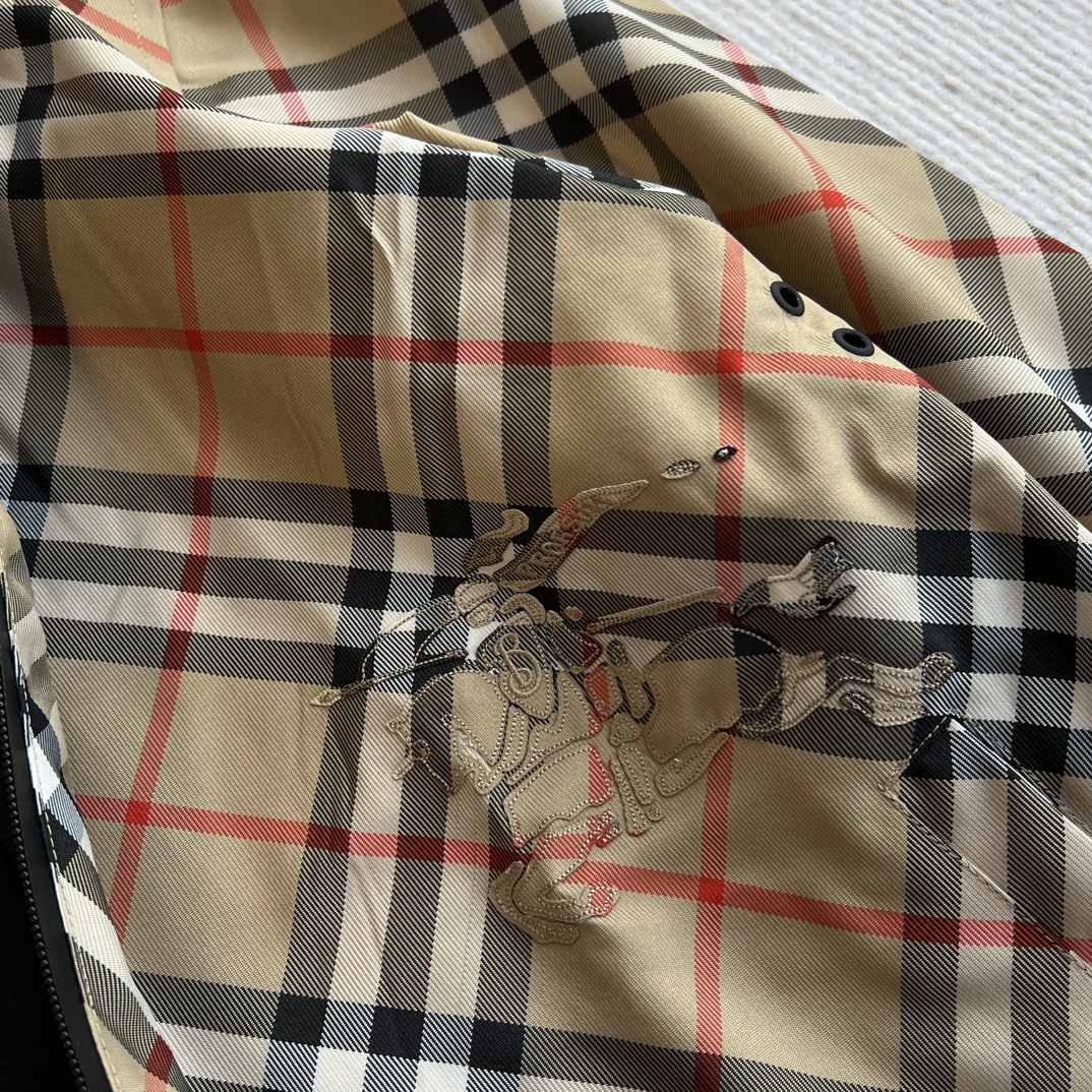 Bagsaaa Bv*b*rry Cropped Reversible Check Jacket Beige