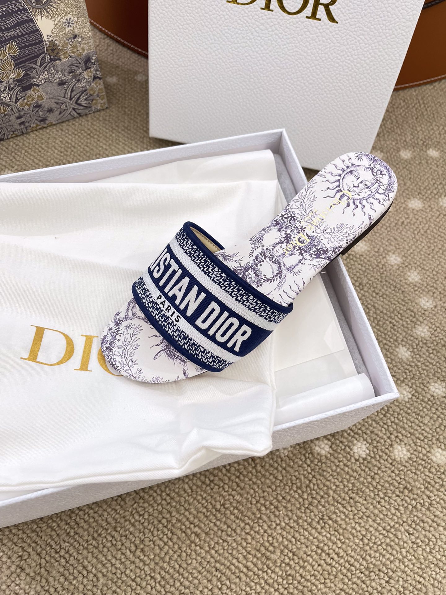 Bagsaaa D10r Dway Slide Embroidered Cotton and White and Blue Toile de Jouy Soleil Motif