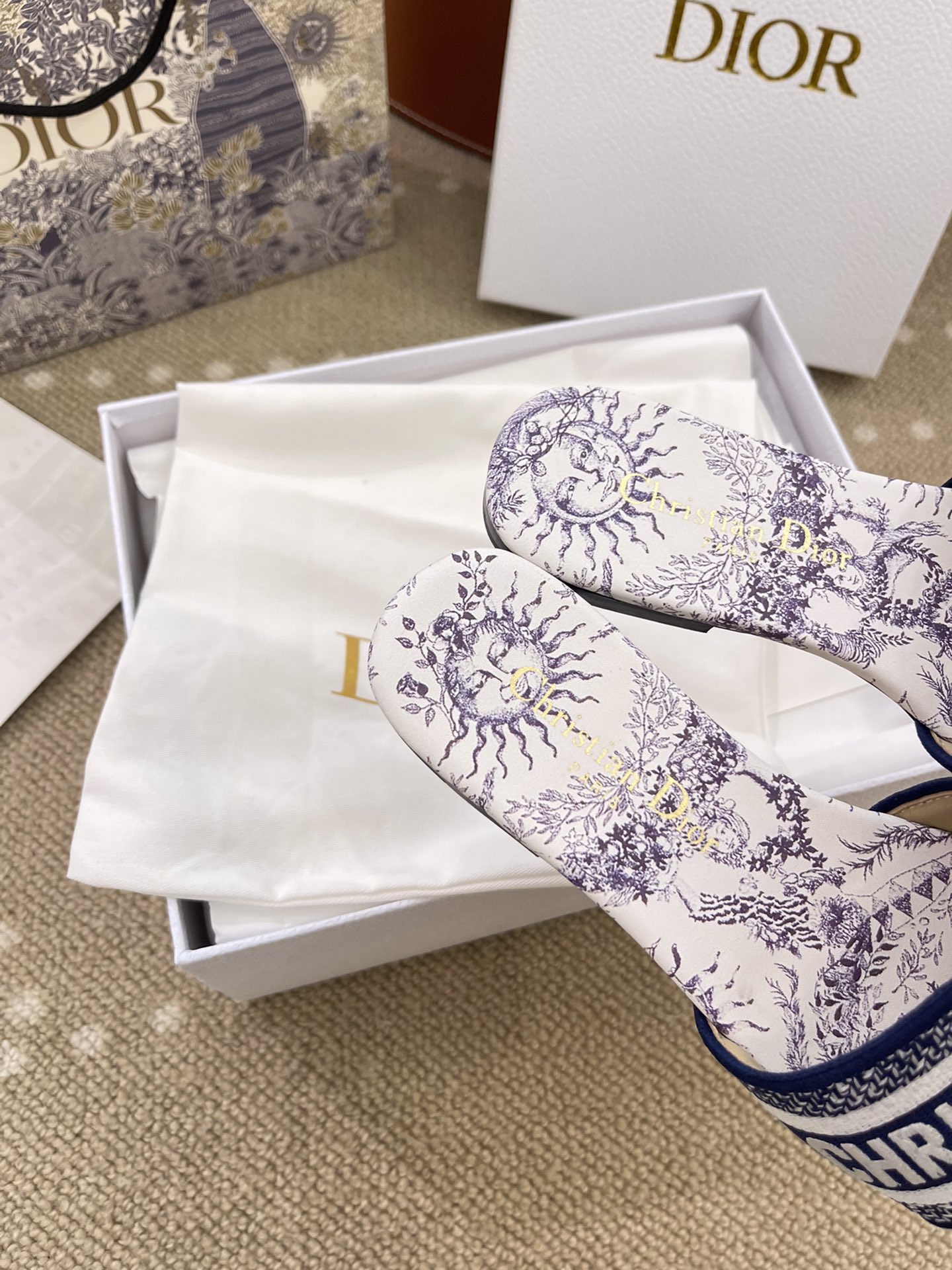 Bagsaaa D10r Dway Slide Embroidered Cotton and White and Blue Toile de Jouy Soleil Motif