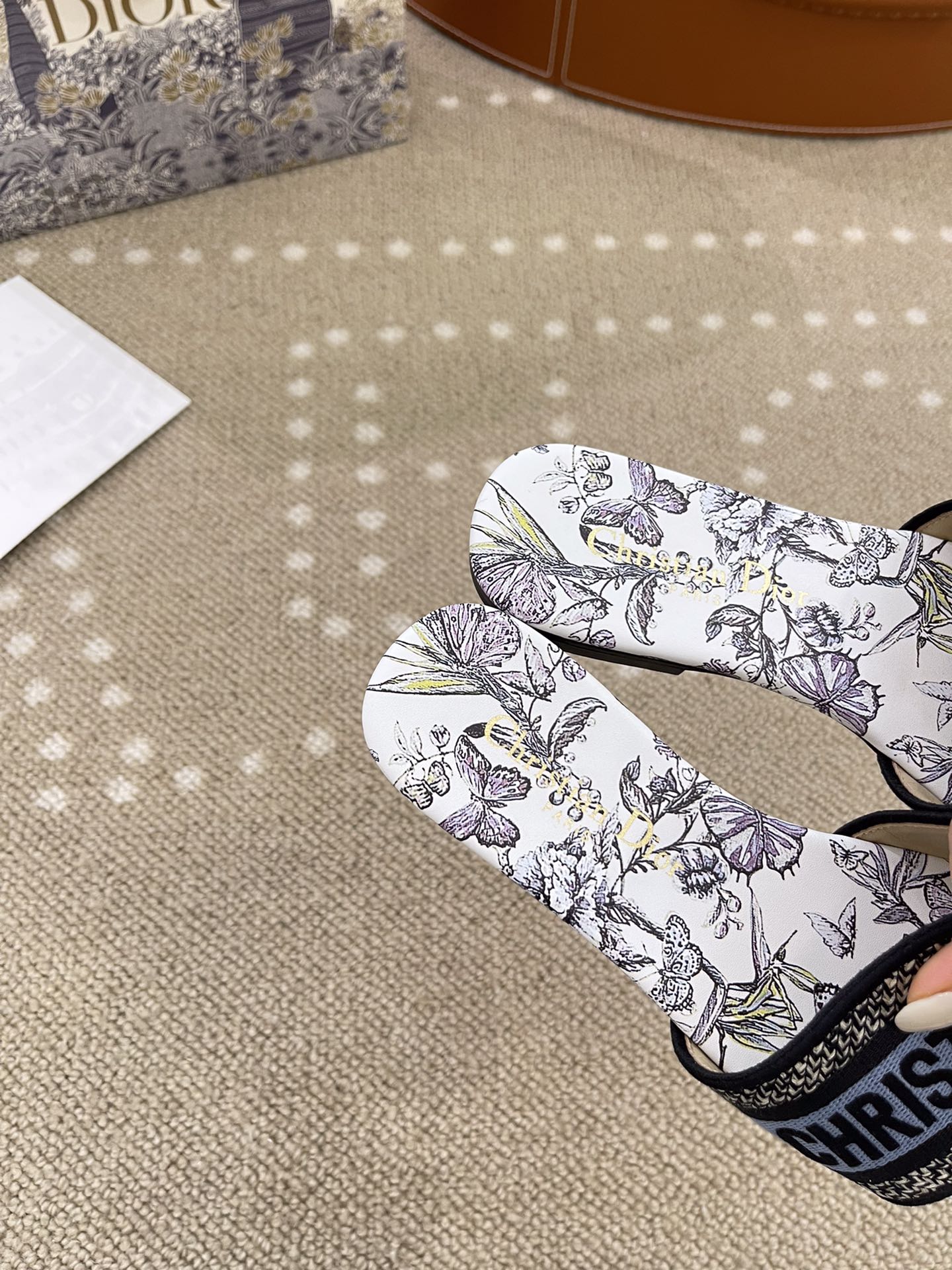 Bagsaaa D10r Dway Slide Pastel Midnight Blue Multicolor Embroidered Cotton with Toile de Jouy Mexico Motif
