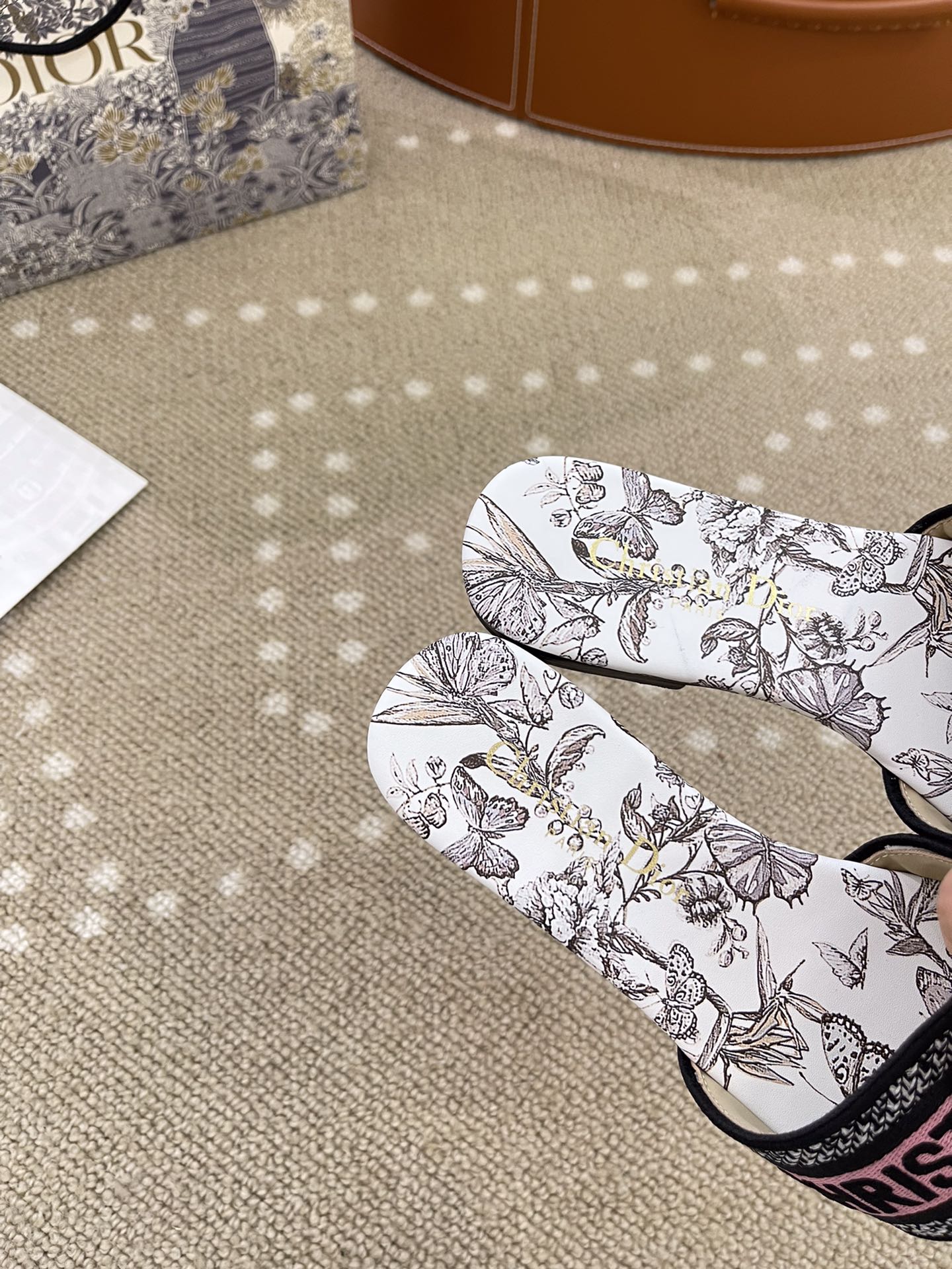 Bagsaaa D10r Dway Slide Nude Multicolor Embroidered Cotton with Toile de Jouy Mexico Motif