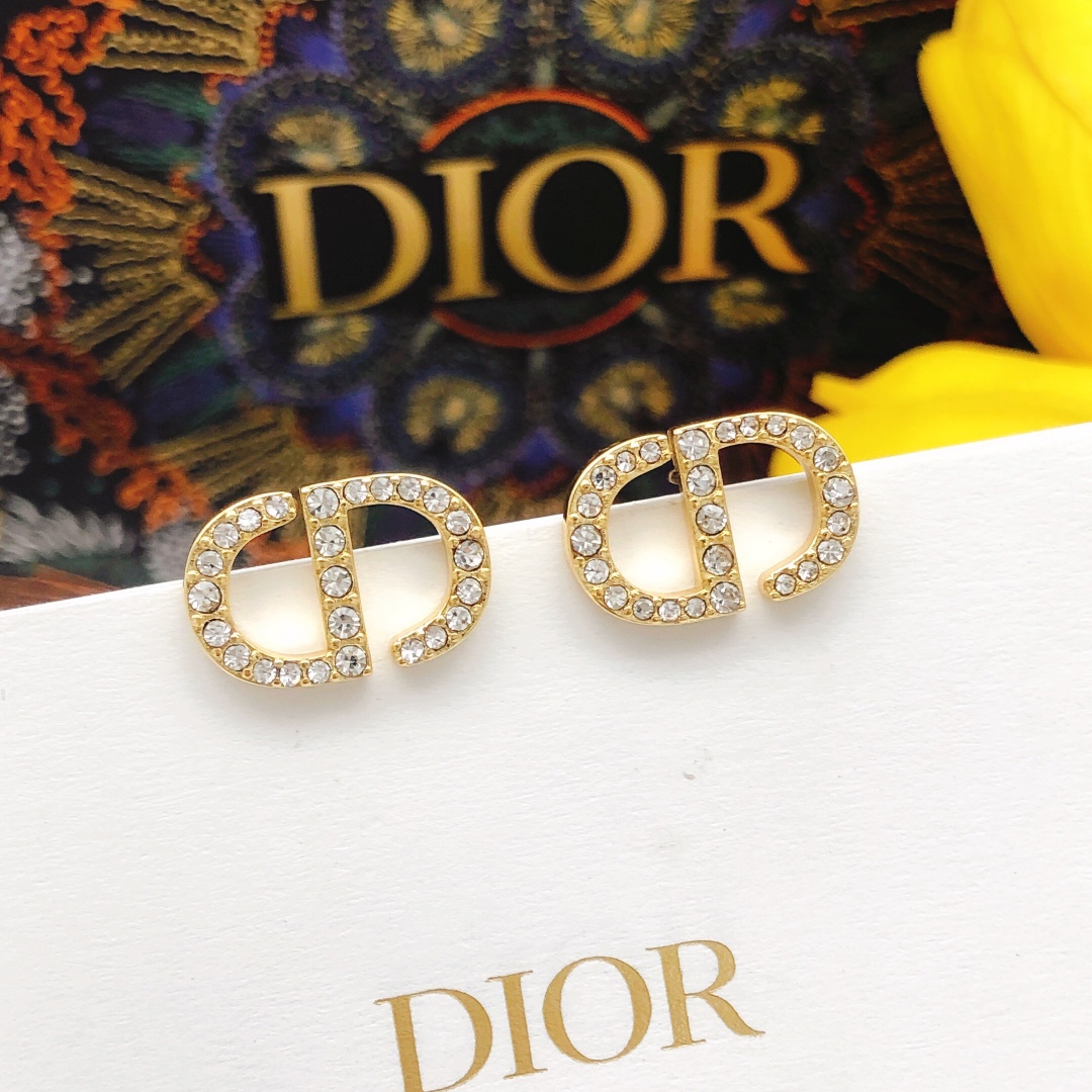 Bagsaaa D10r Earrings 05