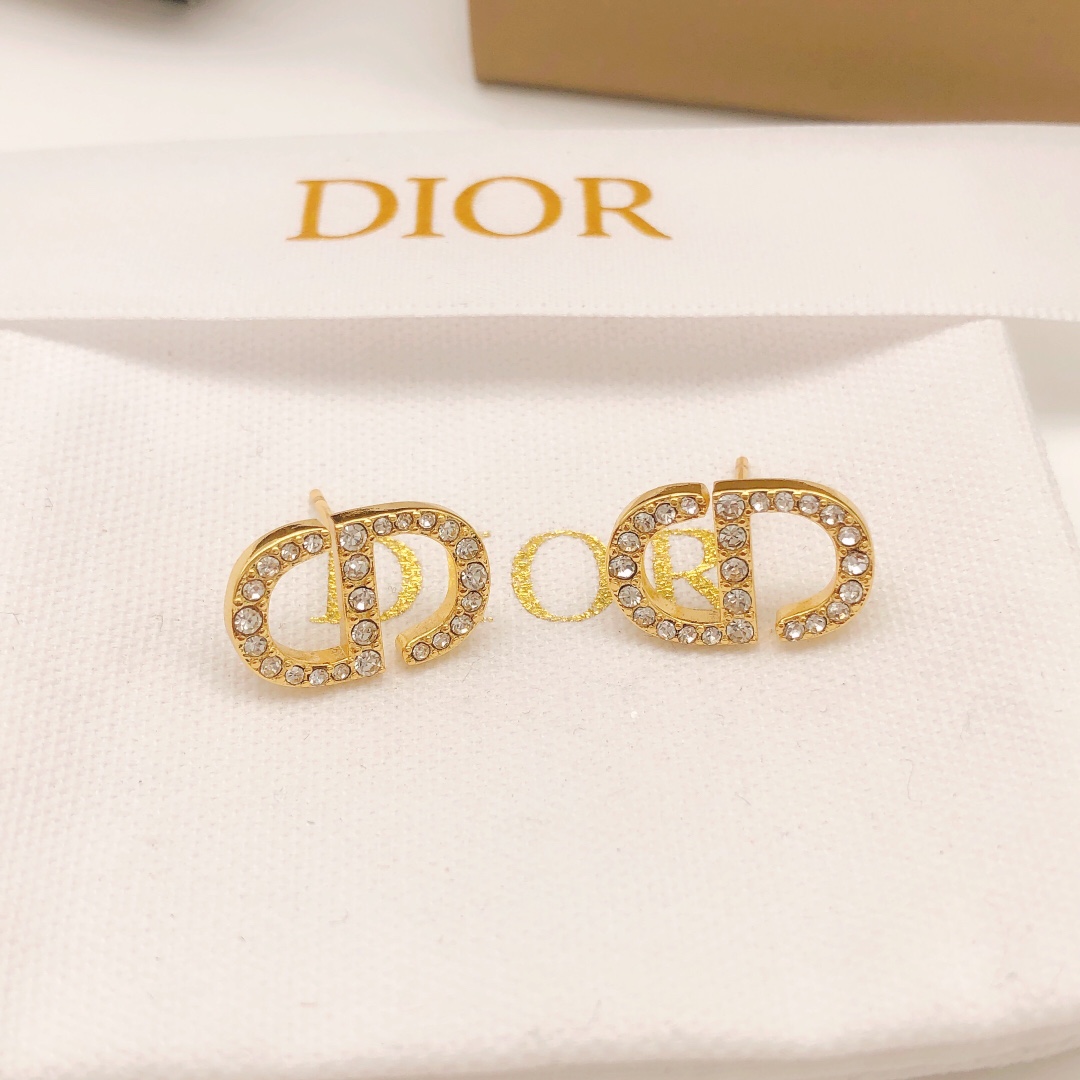 Bagsaaa D10r Earrings 05