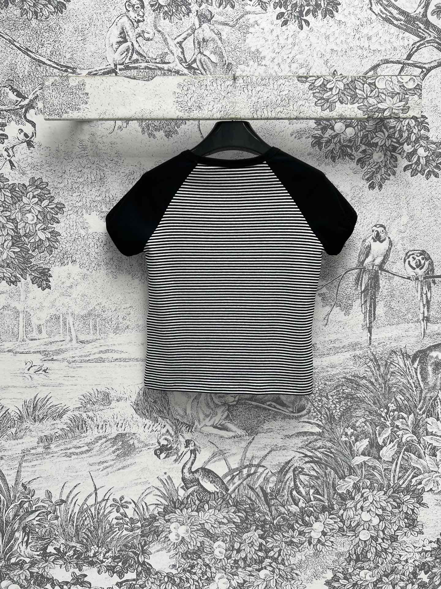 Bagsaaa Ce1i*e Triomphe T-Shirt In Cotton Jersey Black & White