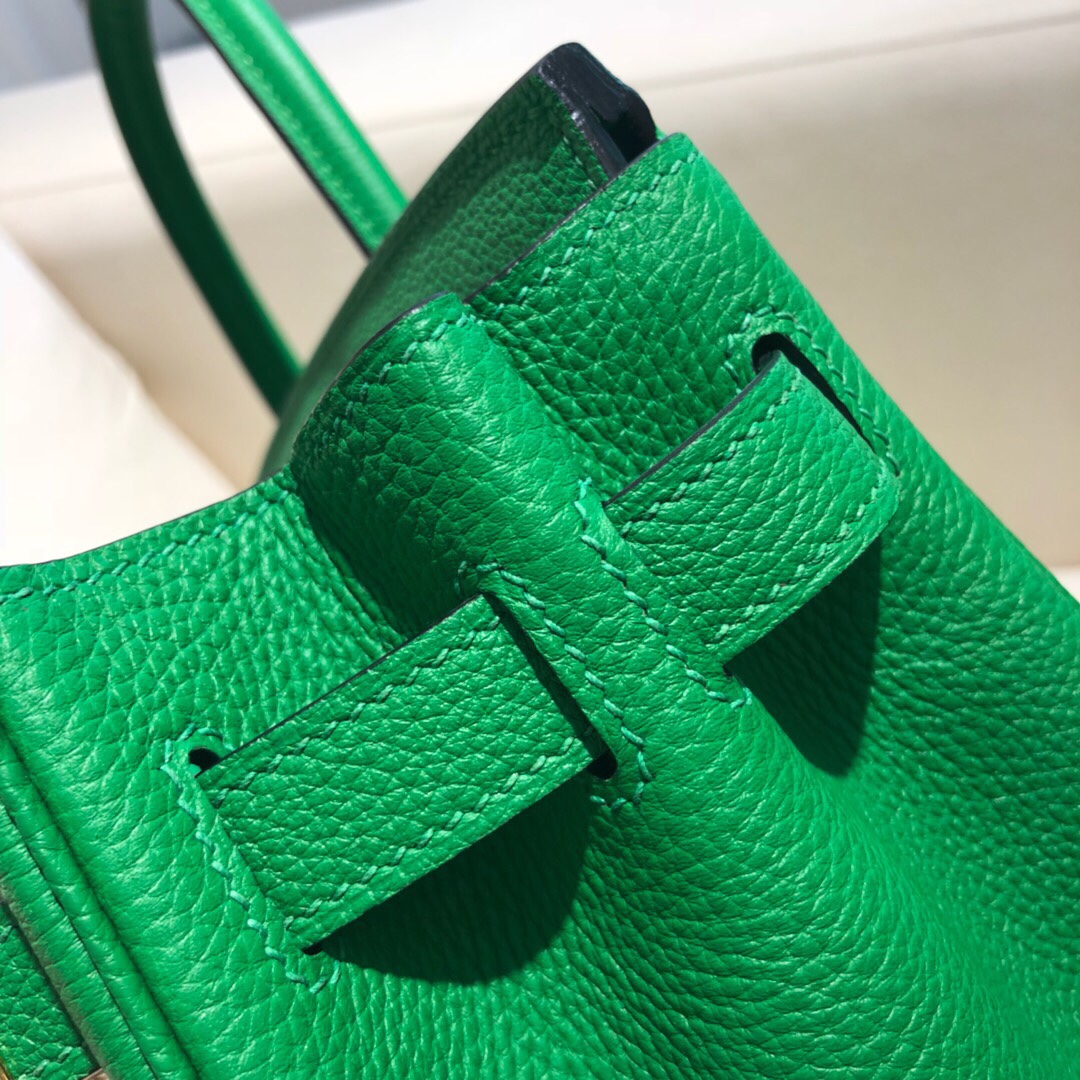 Bagsaaa H**me5 Birkin Green Togo & Gold Hardware - 25cm