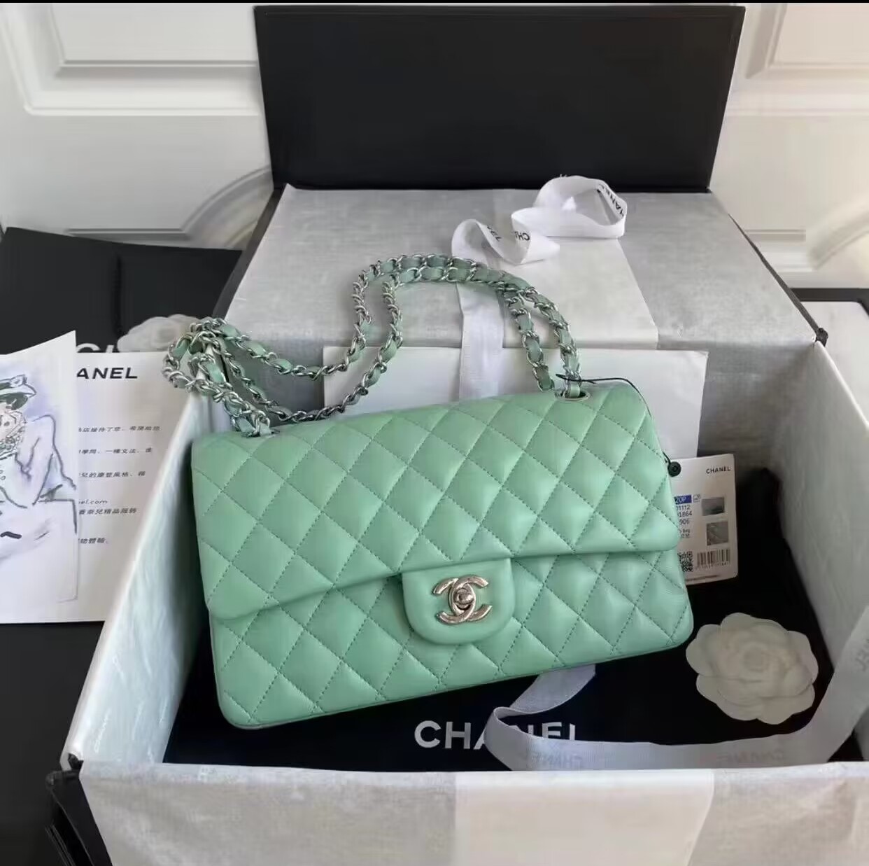 Bagsaaa Ch**el Flap Bag Green Mint Lambskin & Silver Hardware - 23cm