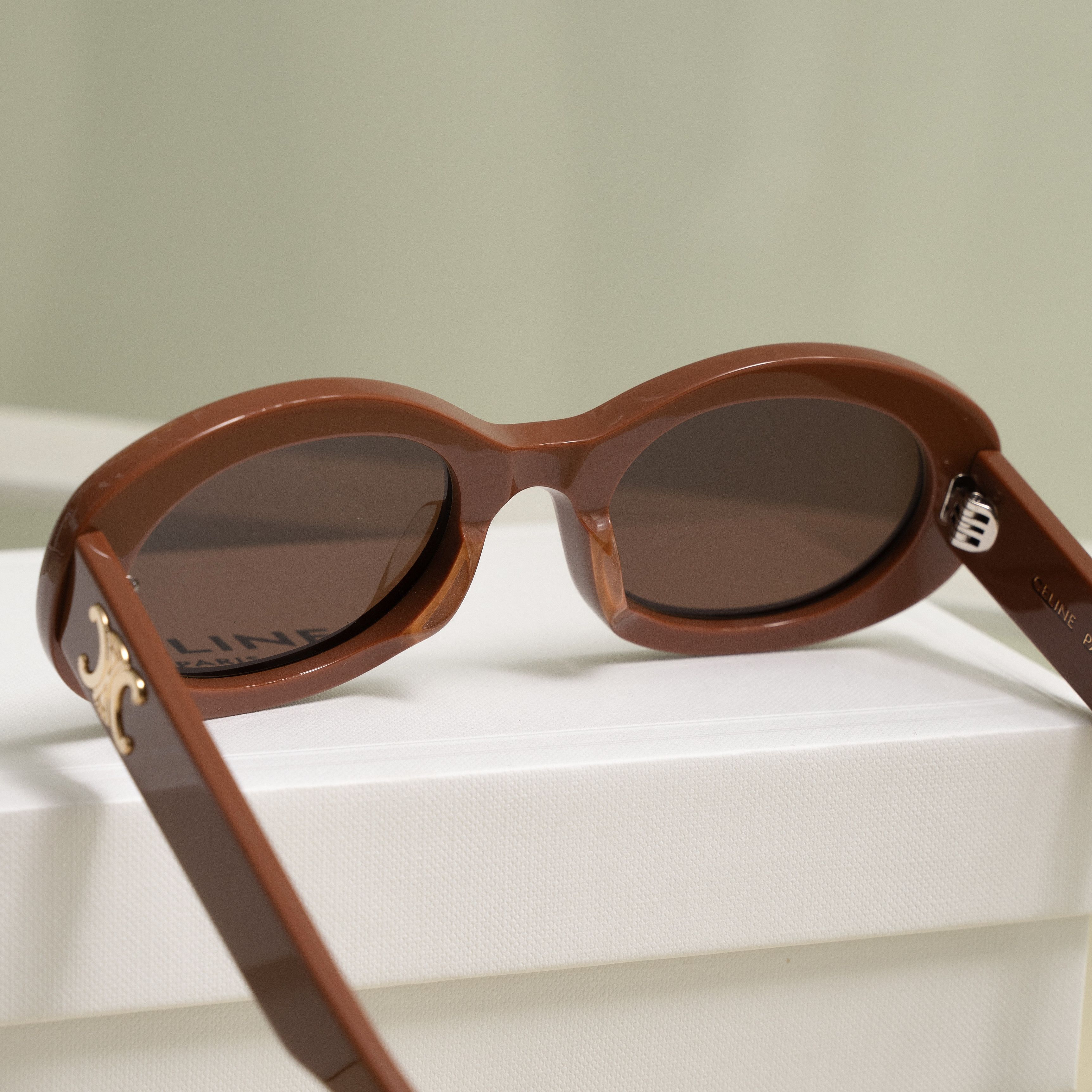Bagsaaa Ce1i*e Triomphe 01 Sunglasses In Acetate Brown