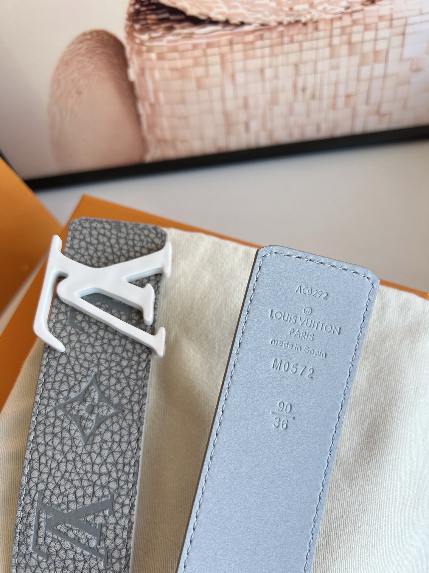 Bagsaaa LV Belt Gray