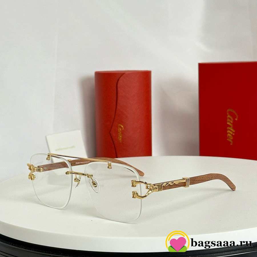 Bagsaaa Ca*t1er Glasses