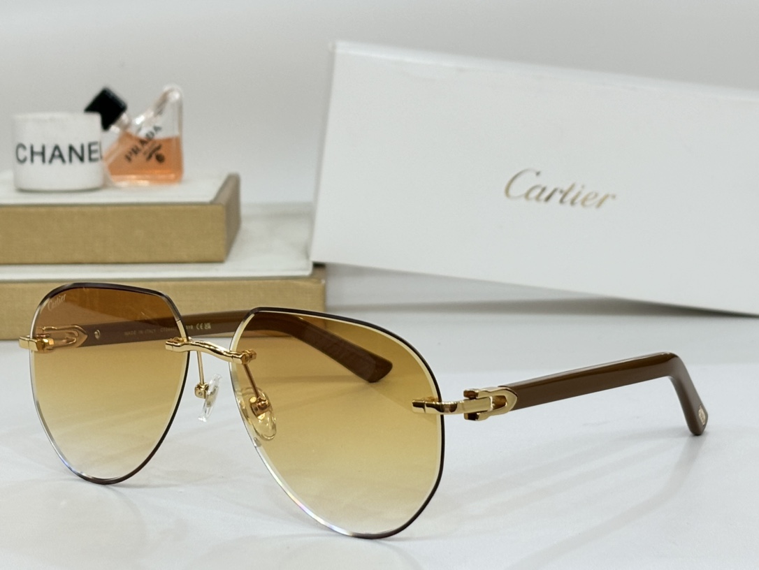 Bagsaaa Ca*t1er Glasses 02