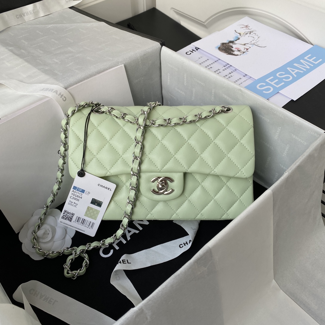 Bagsaaa Ch**el Flap Bag Light Green Lambskin & Silver Hardware - 23cm